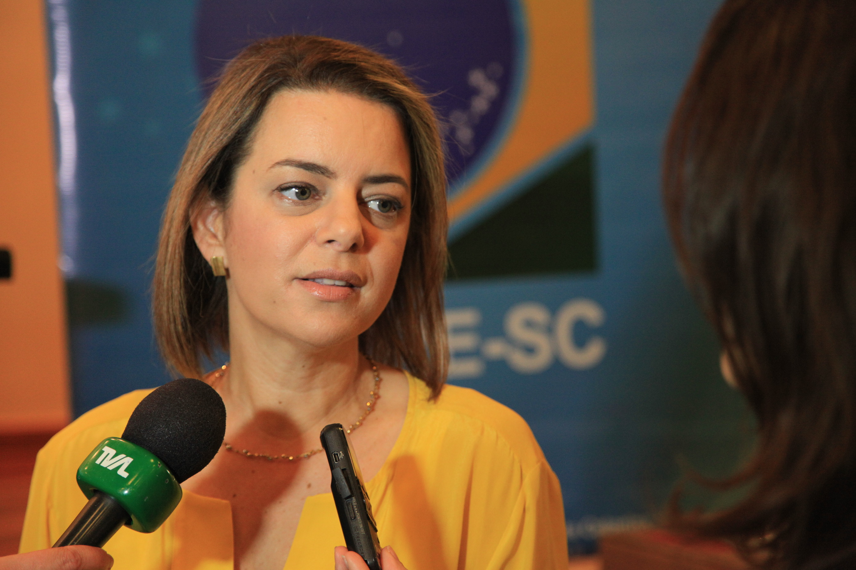 Eleições 2016 - Treinamento para Mesários - Chefe de Cartório  Ana Cláudia Furtado Vidal.