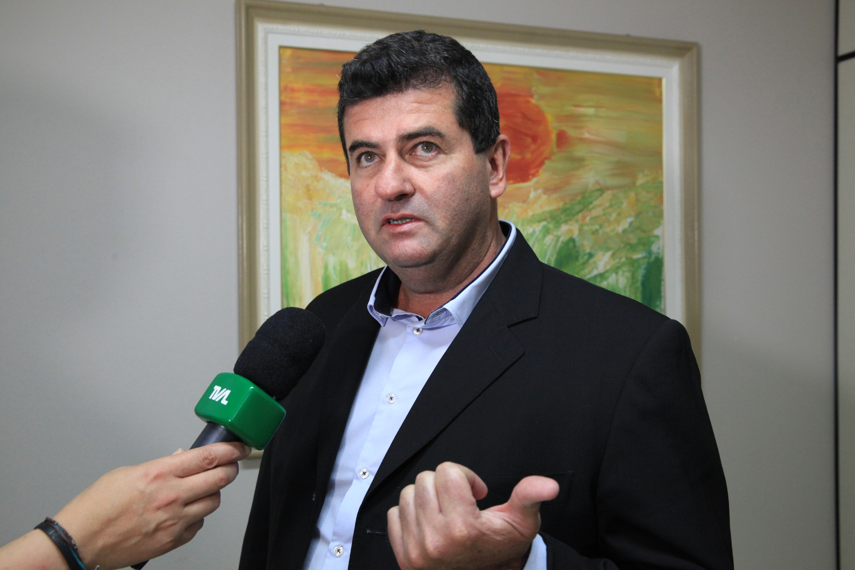 Penas e Medidas Alternativas Paulo Luiz Castanhede Orsini