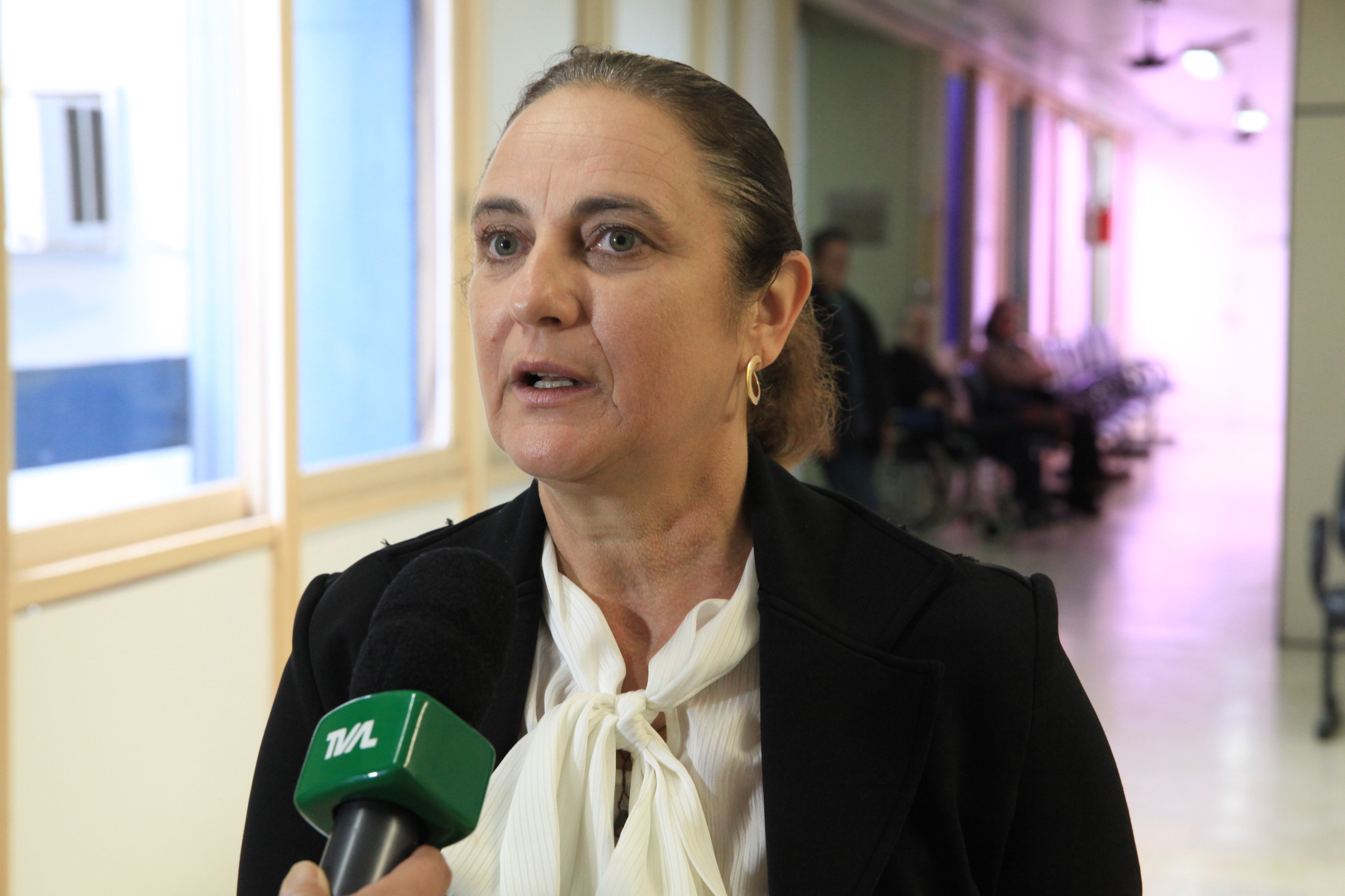 Penas e Medidas Alternativas Vanderléia Machado