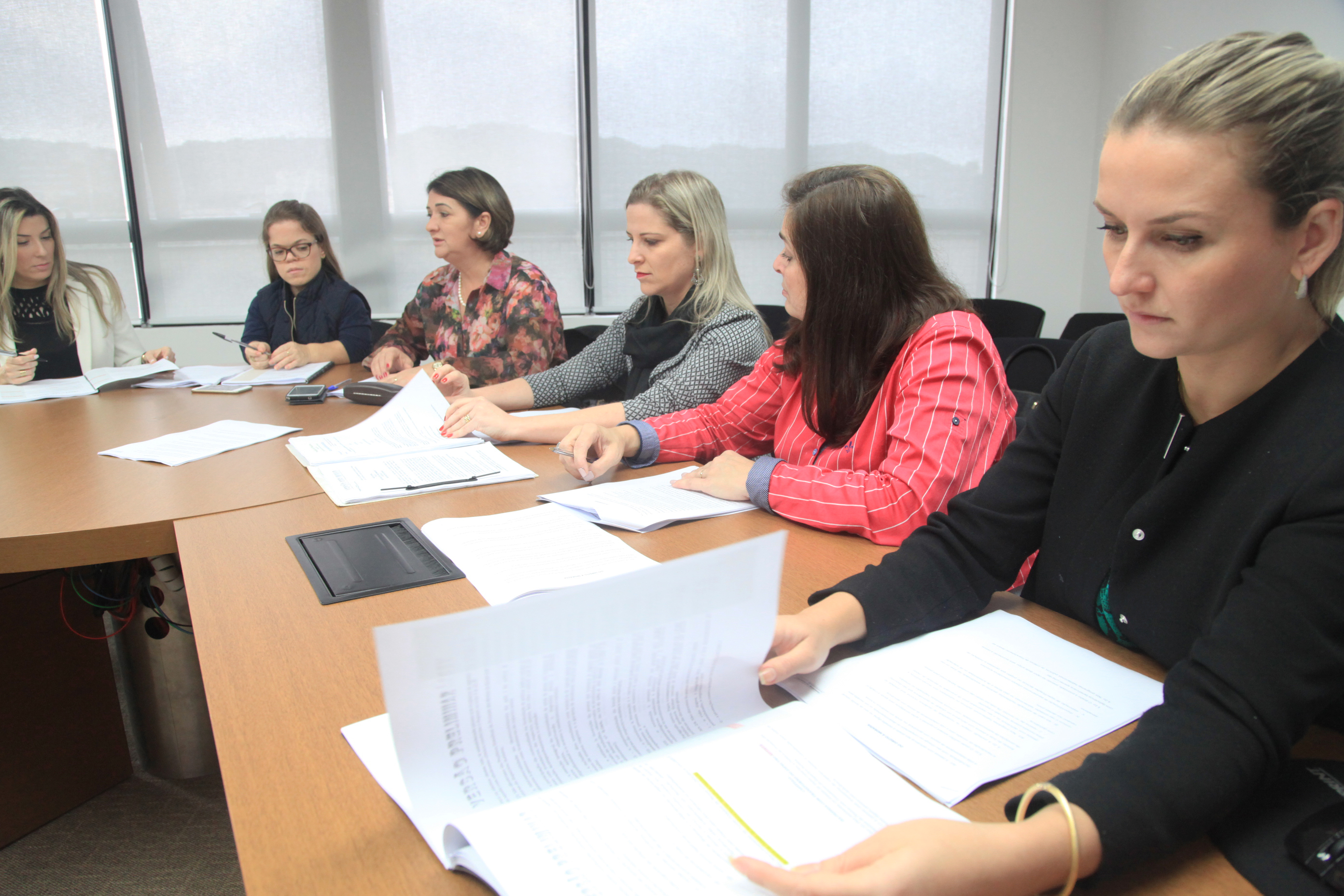 Lei Catarinense de Inclusão de Pessoa com Deficiência