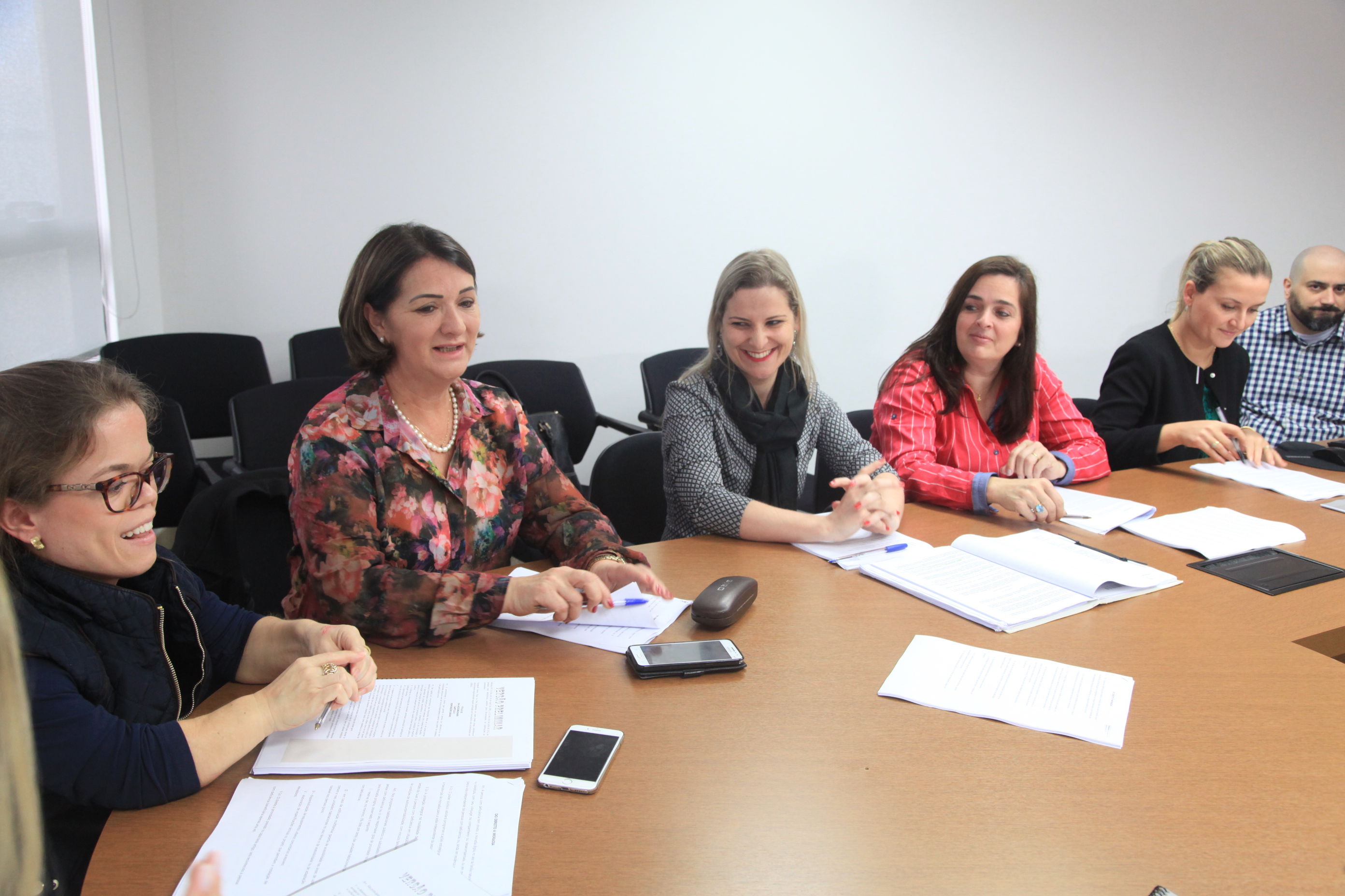 Lei Catarinense de Inclusão de Pessoa com Deficiência