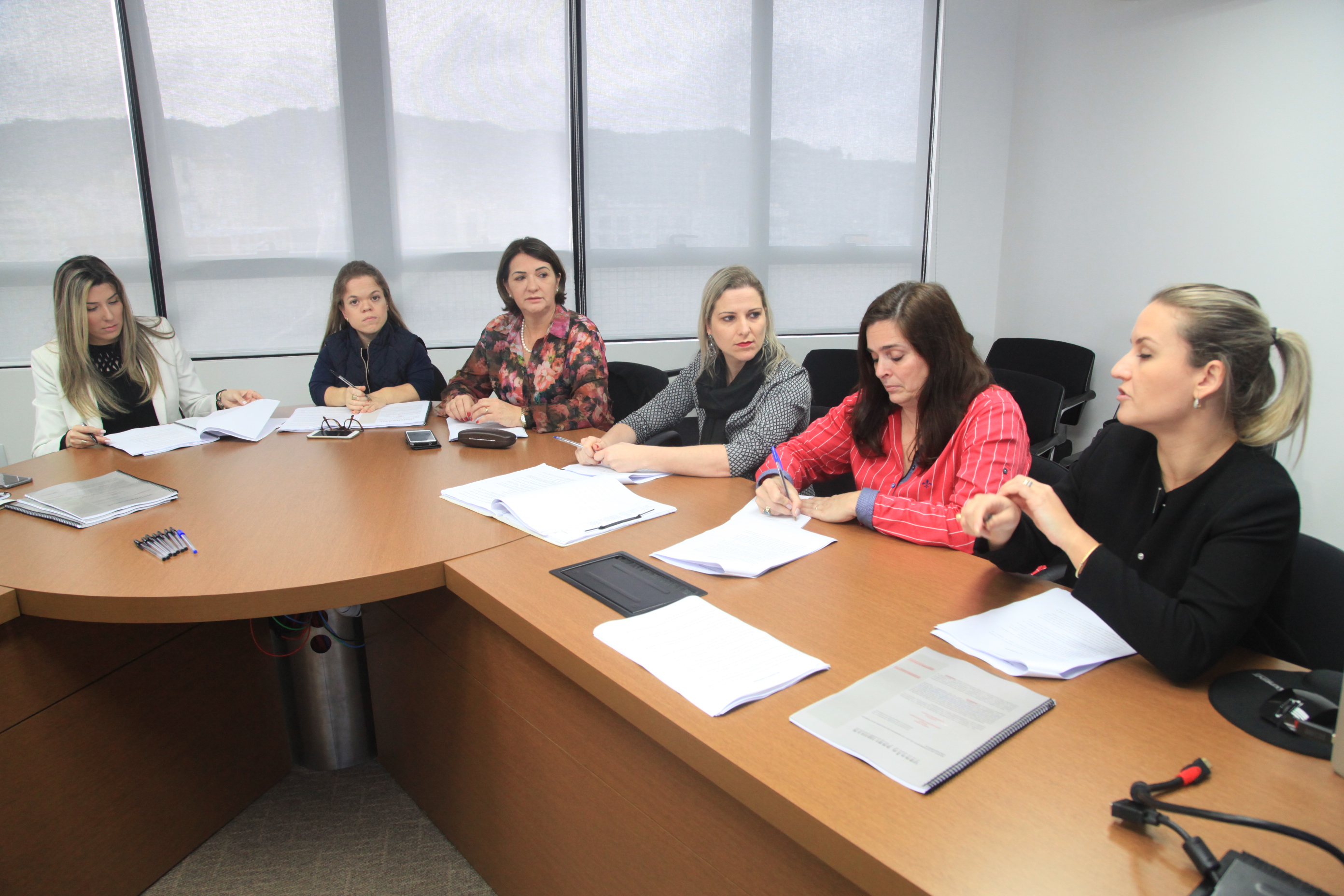 Lei Catarinense de Inclusão de Pessoa com Deficiência