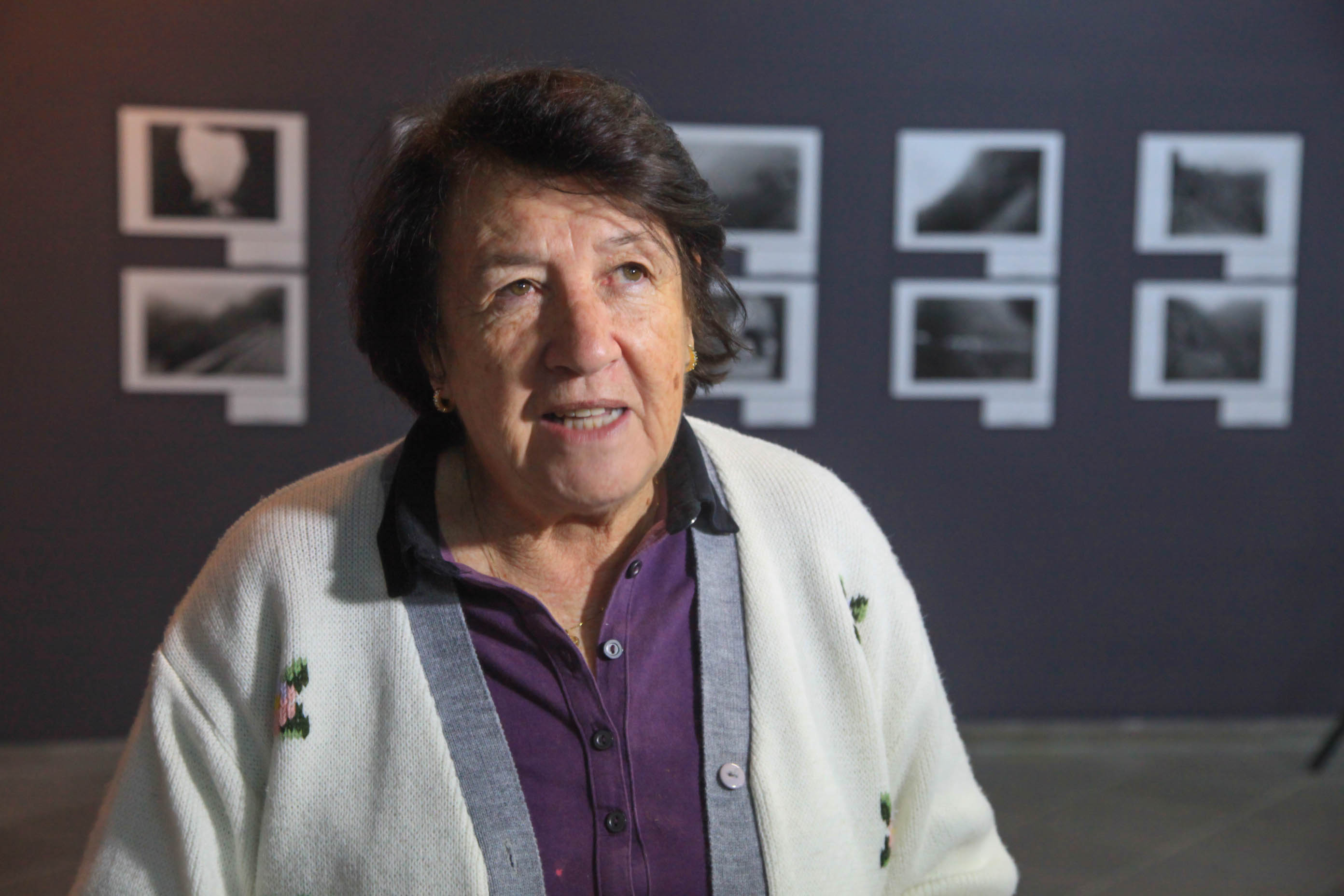 Rosa Maria Tesser, historiadora - Exposição de Fotos do Contestado