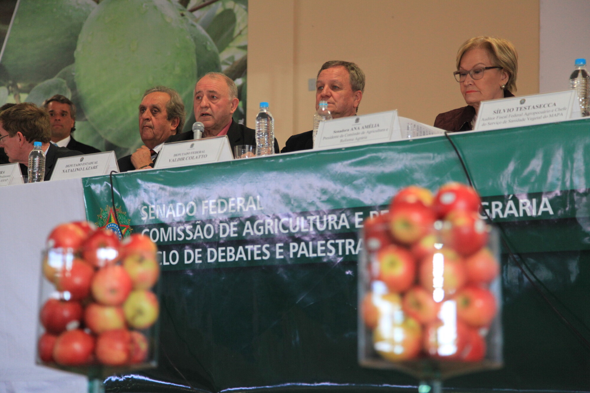 Cadeia produtiva da maçã apresenta demandas em evento do Senado