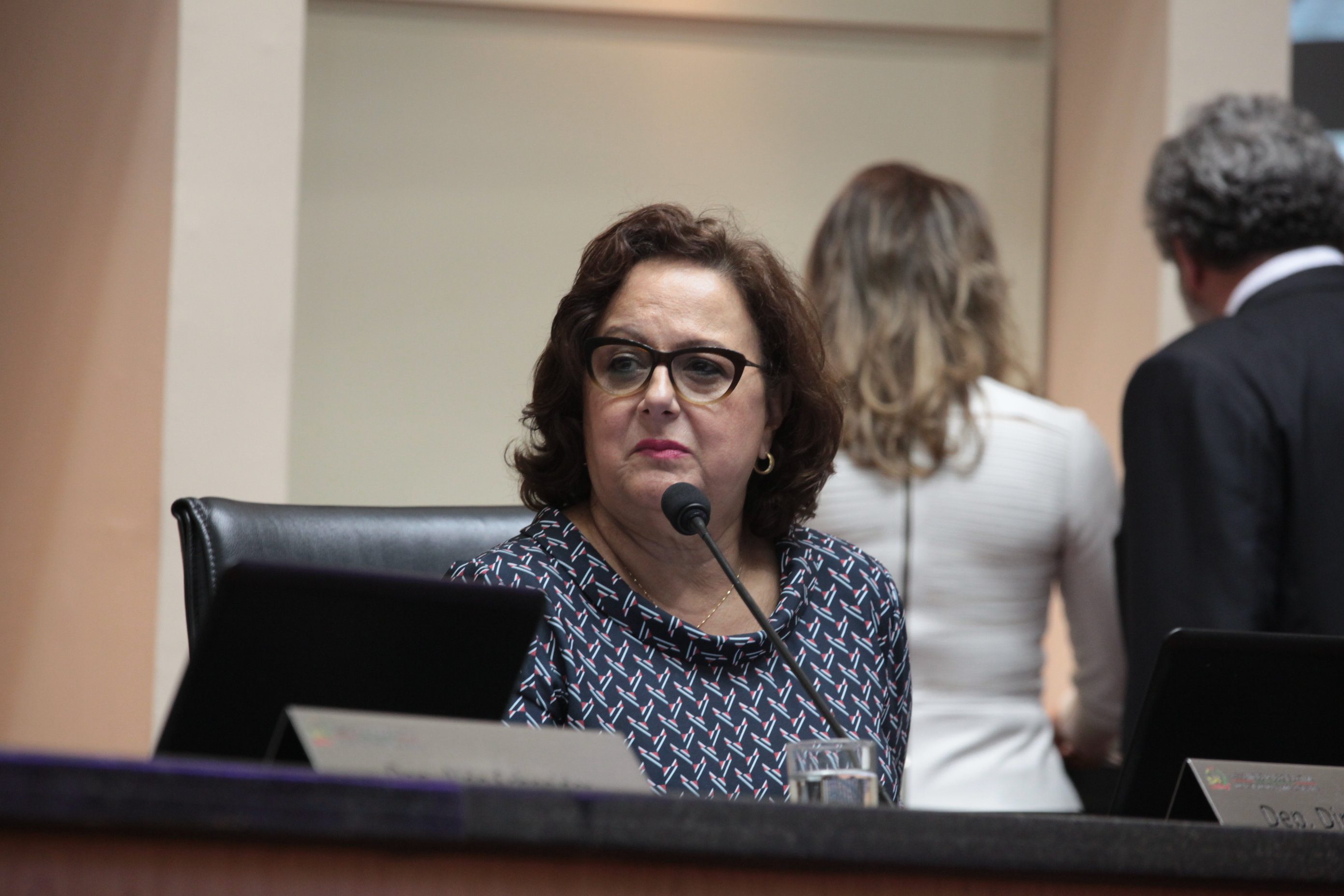 Deputada Dirce Heiderscheidt (PMDB) - Sessão Ordinária. Foto: Daniella Coriolano/Agência AL
