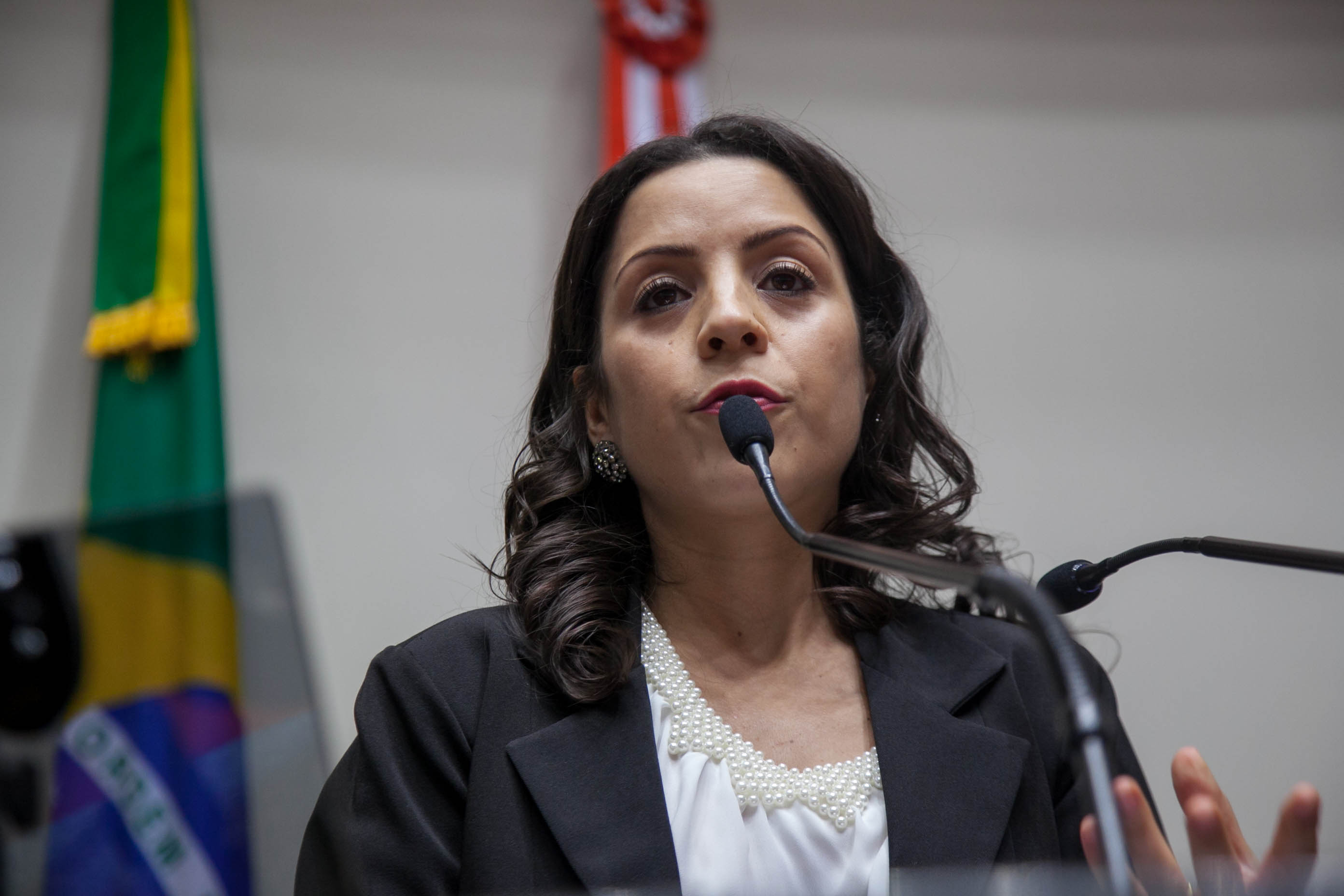 Delegada Michele Alves Correa Rebelo, gerente de Fiscalização de Jogos e Diversão da Policia Civil de Santa Catarina - Audiência Pública: Bebidas Alcóolicas nos Estádios