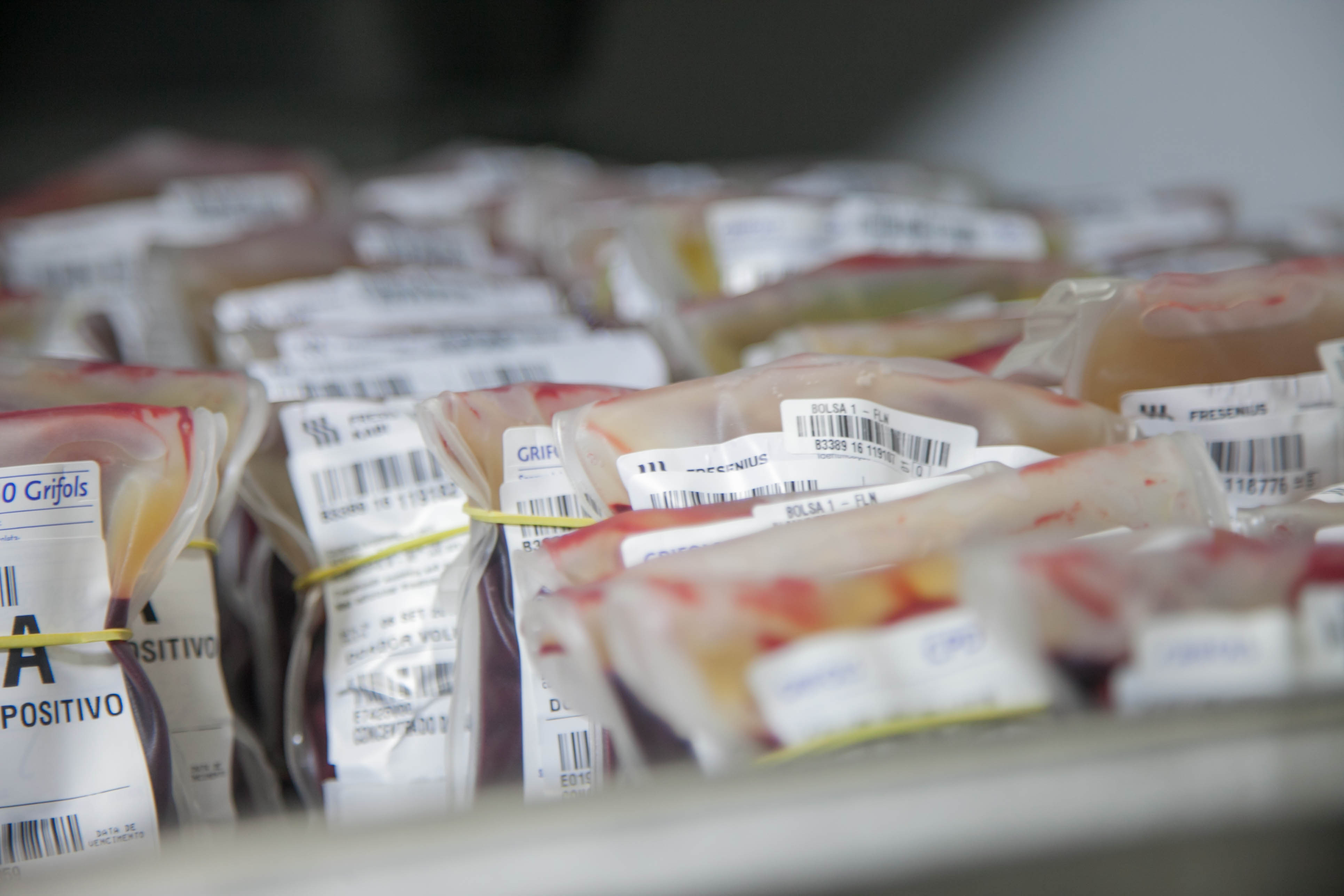 Hemosc adota critérios mais rígidos para doação
