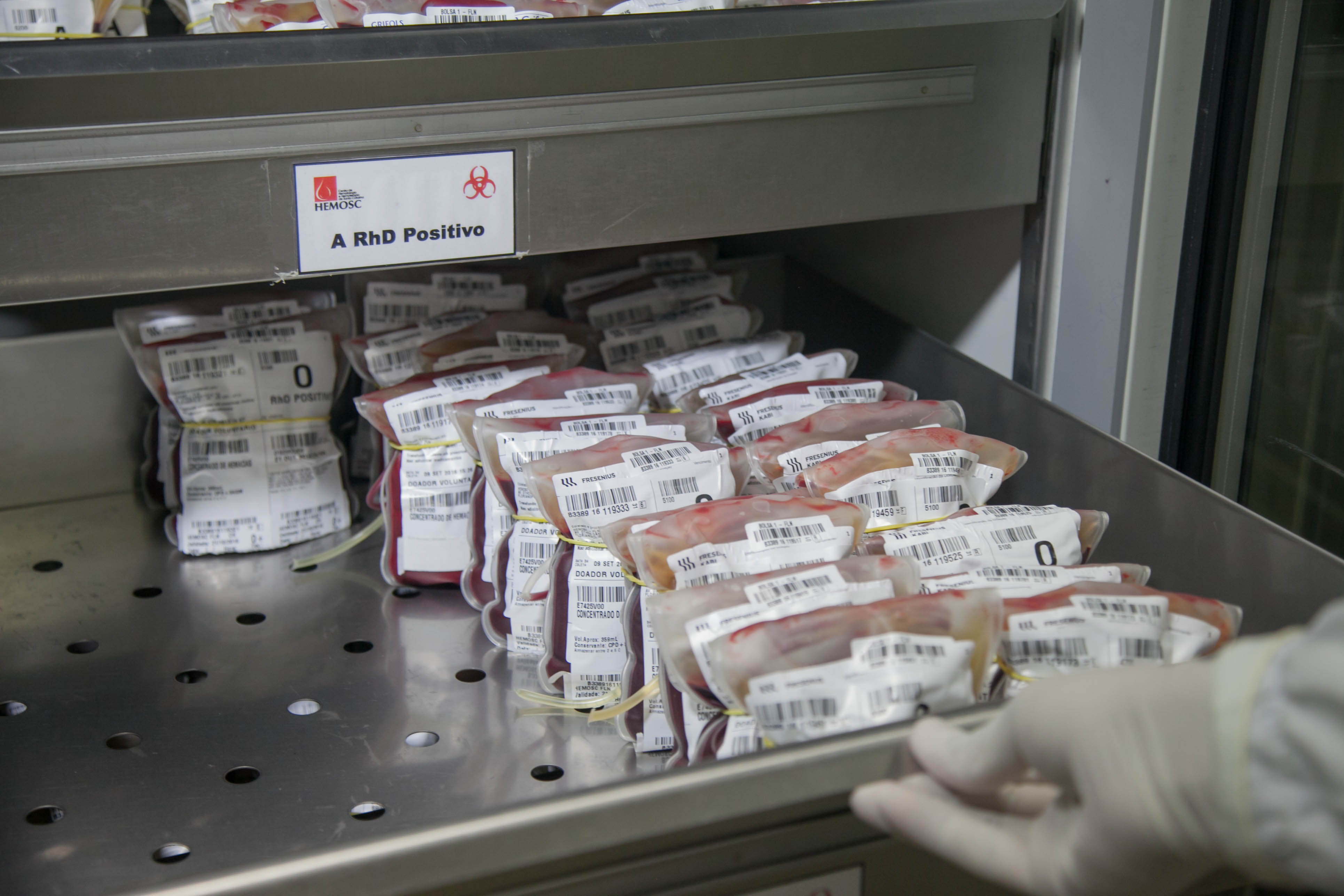 Hemosc adota critérios mais rígidos para doação