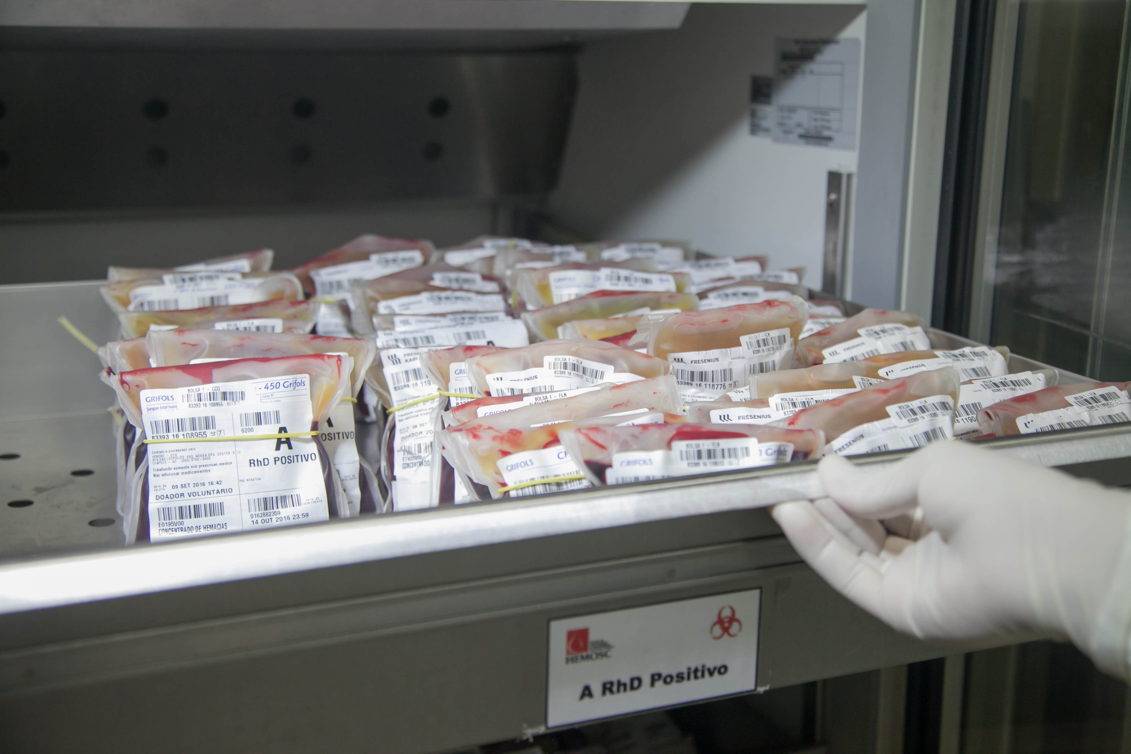 Hemosc adota critérios mais rígidos para doação