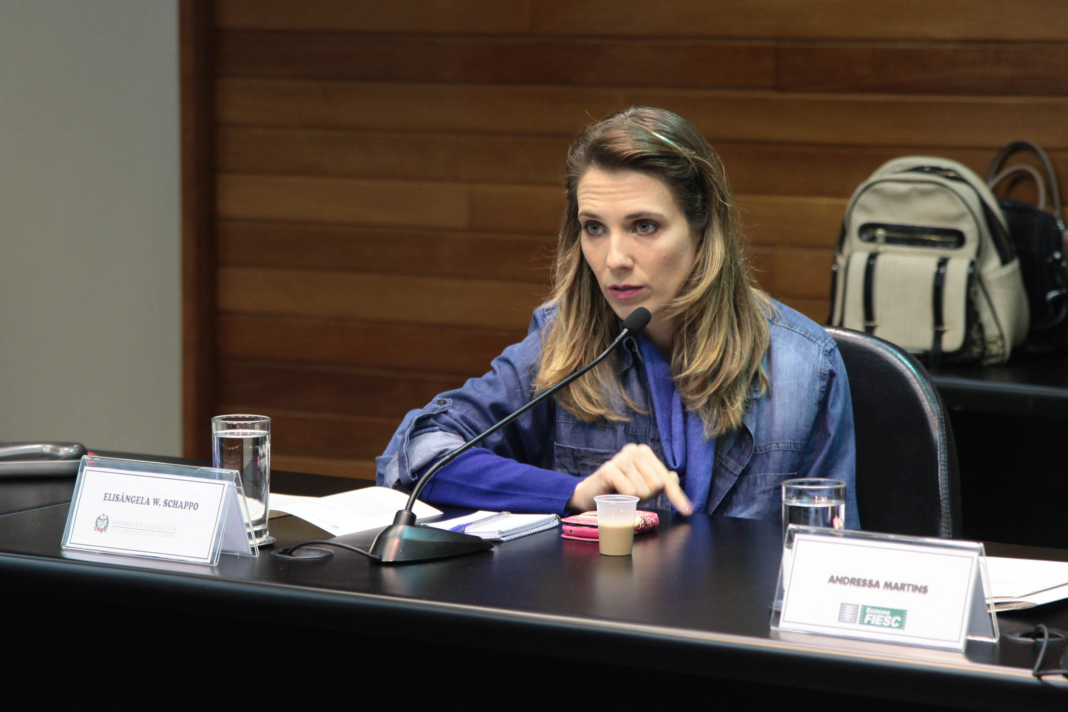 Responsabilidade Social. Elisângela Schappo.