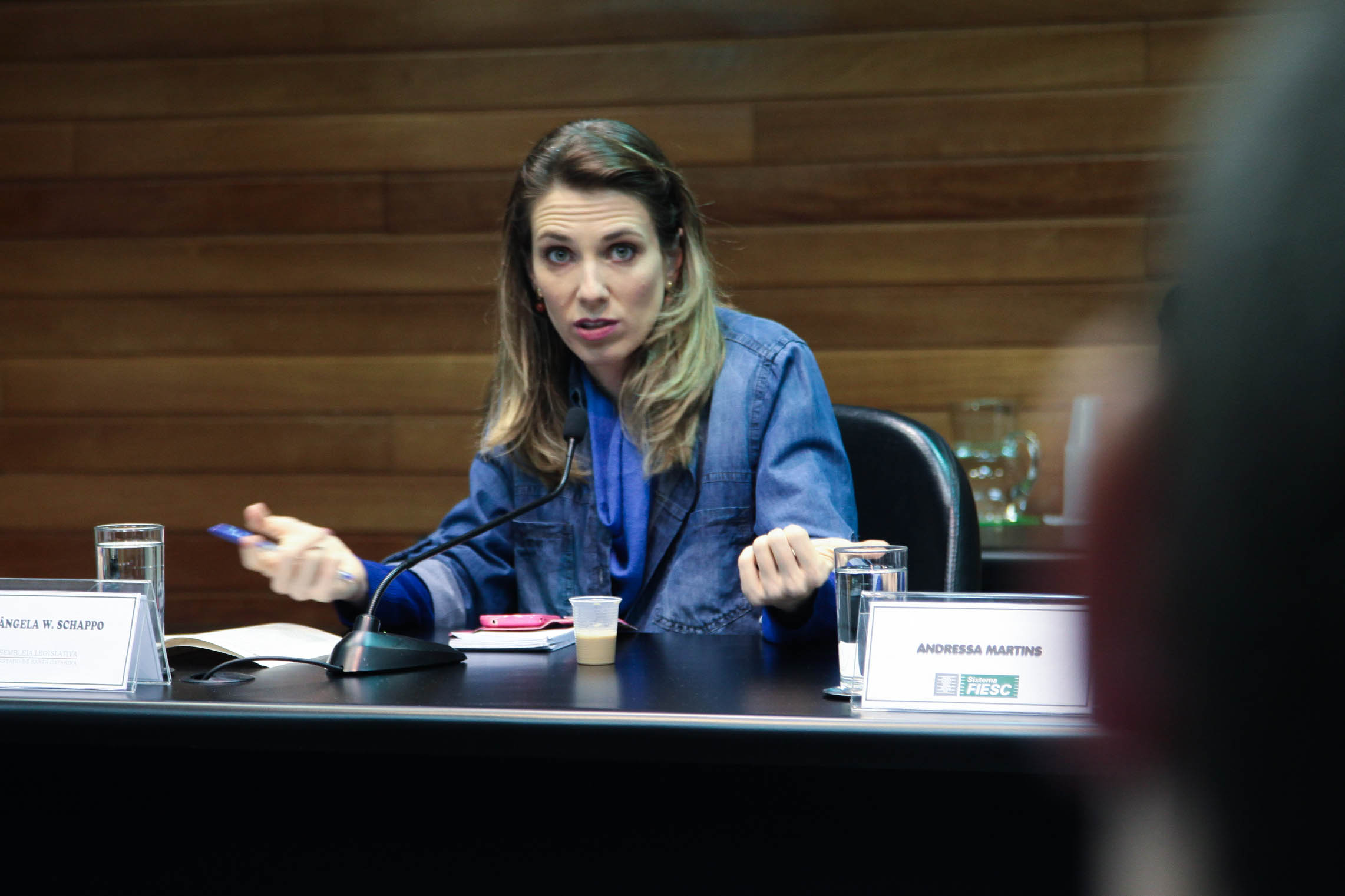 Responsabilidade Social. Elisângela Schappo.