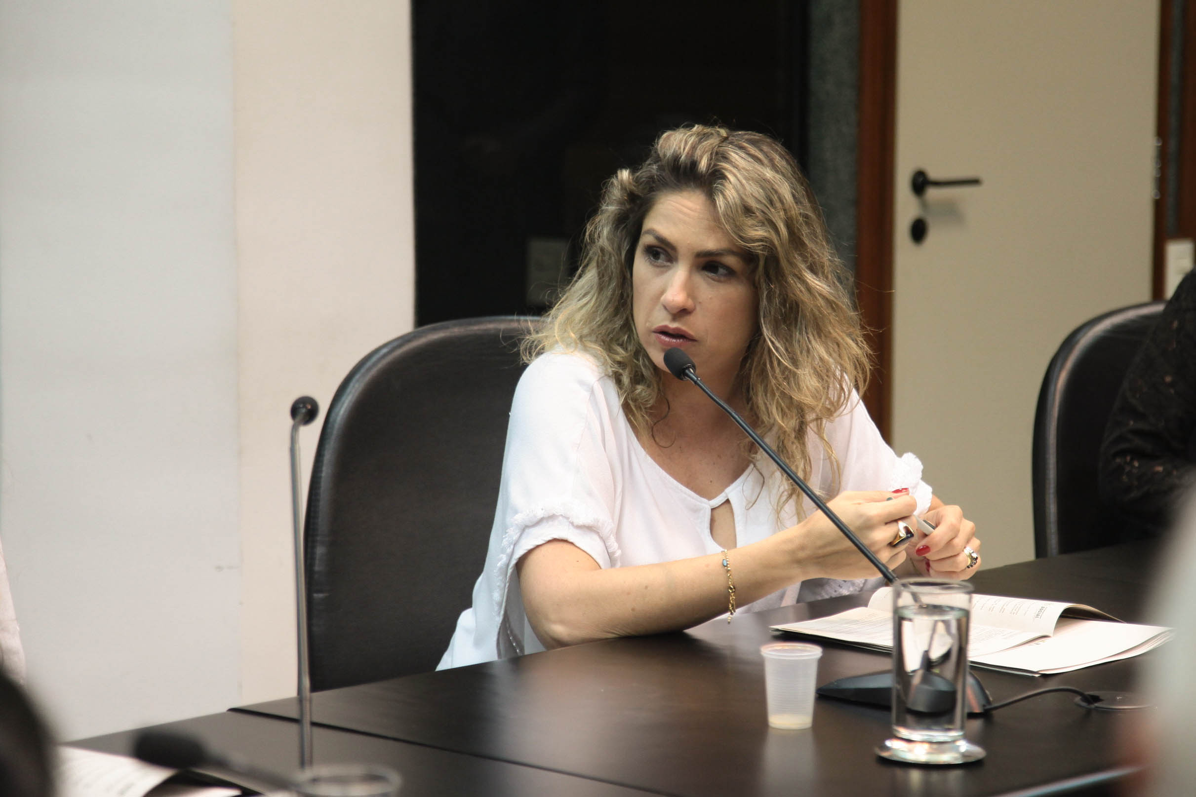 Responsabilidade Social. Karla Straioto.