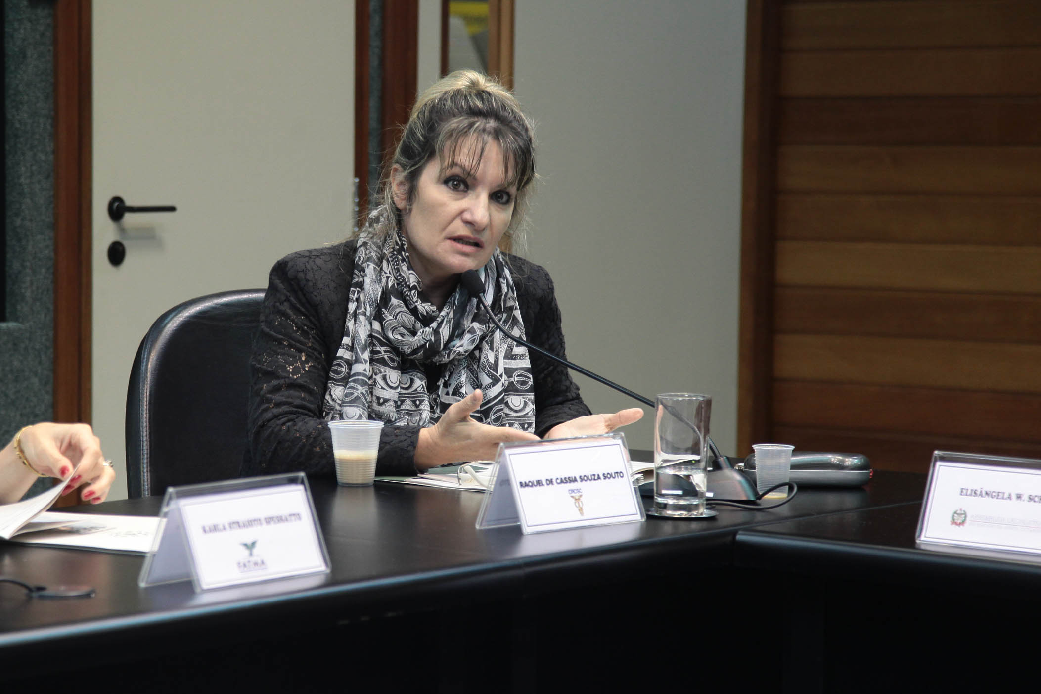 Responsabilidade Social. Raquel de Cássia Sousa.