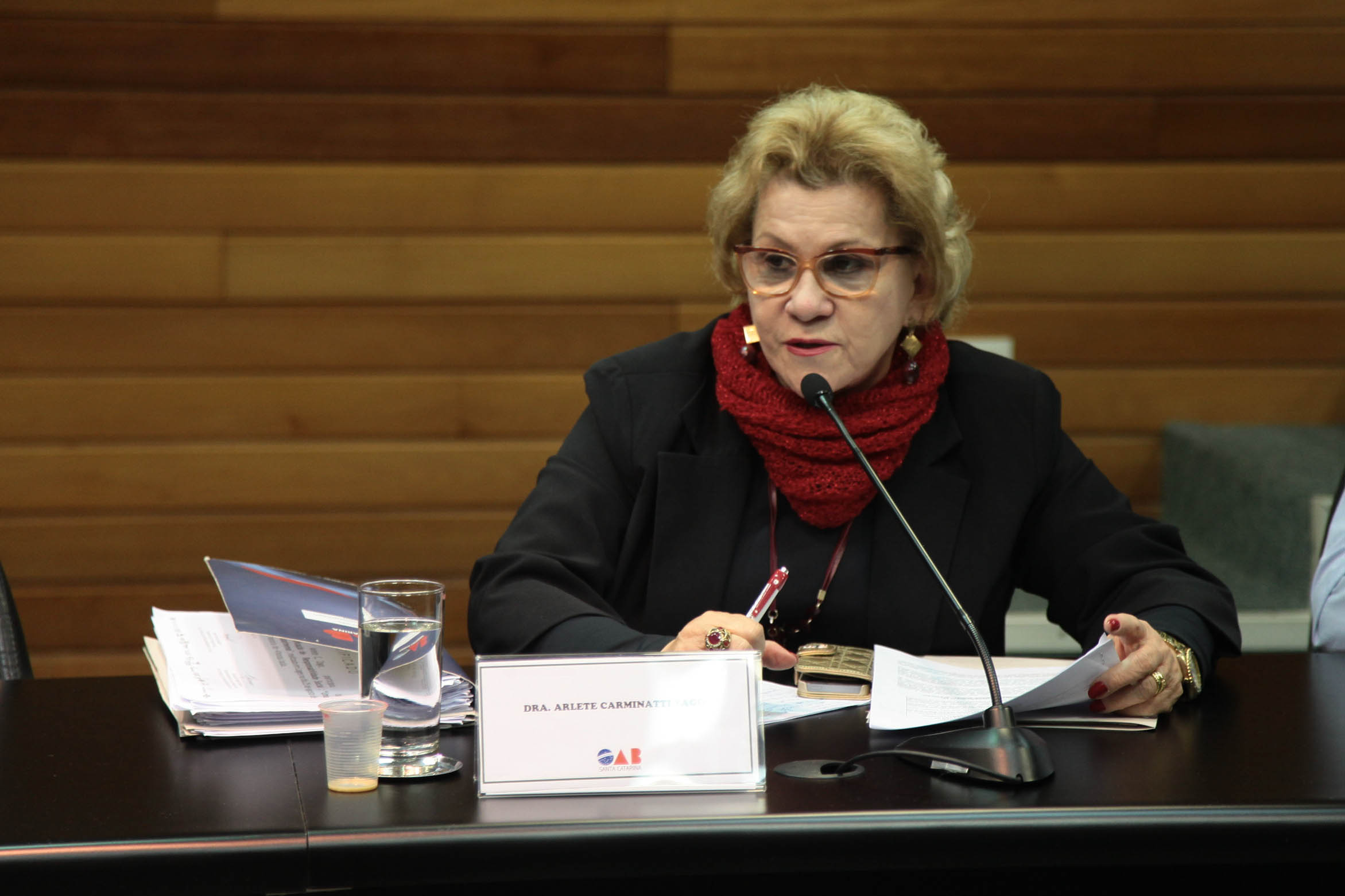 Responsabilidade Social. Drª Arlete Carminati.