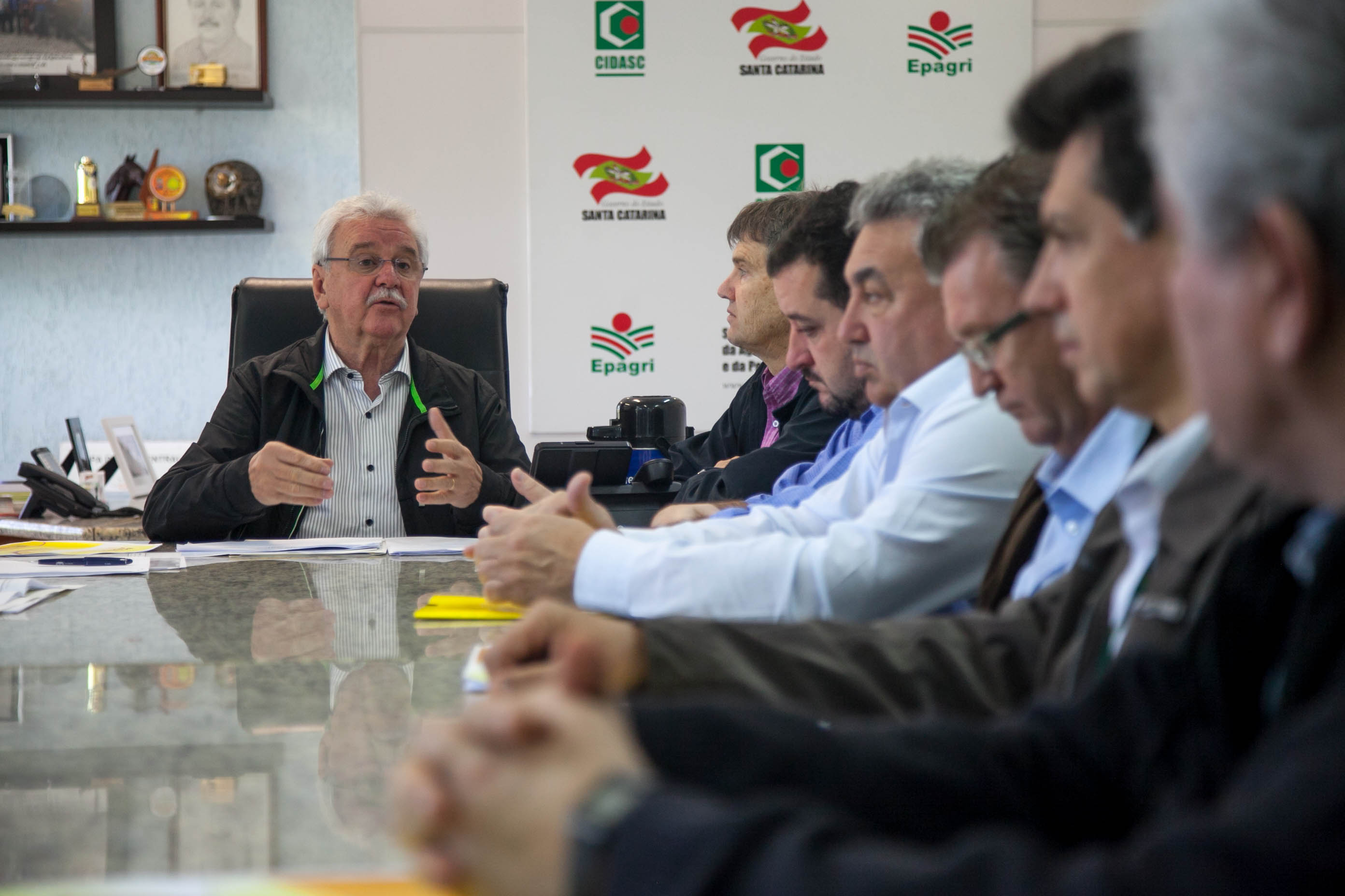 Safra de 2016/17 terá aumento na área plantada de milho em SC