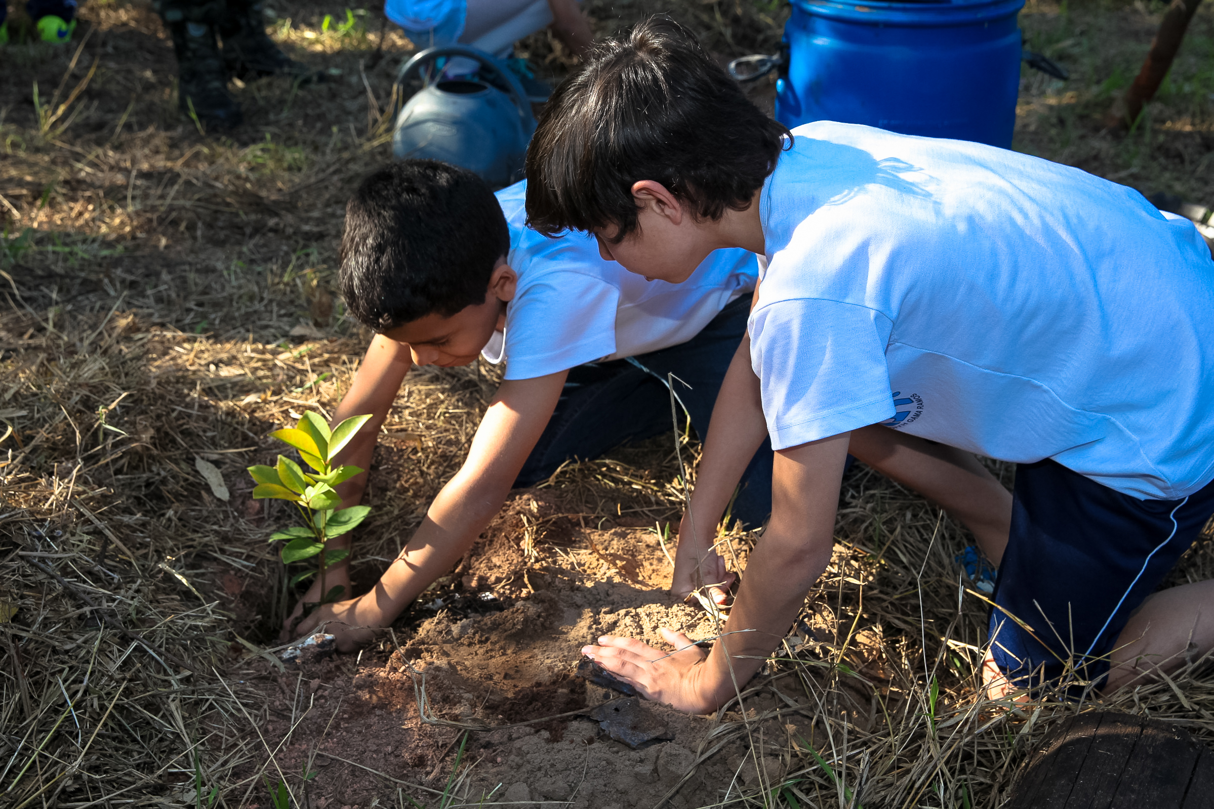 Projeto Protetores Ambientais.