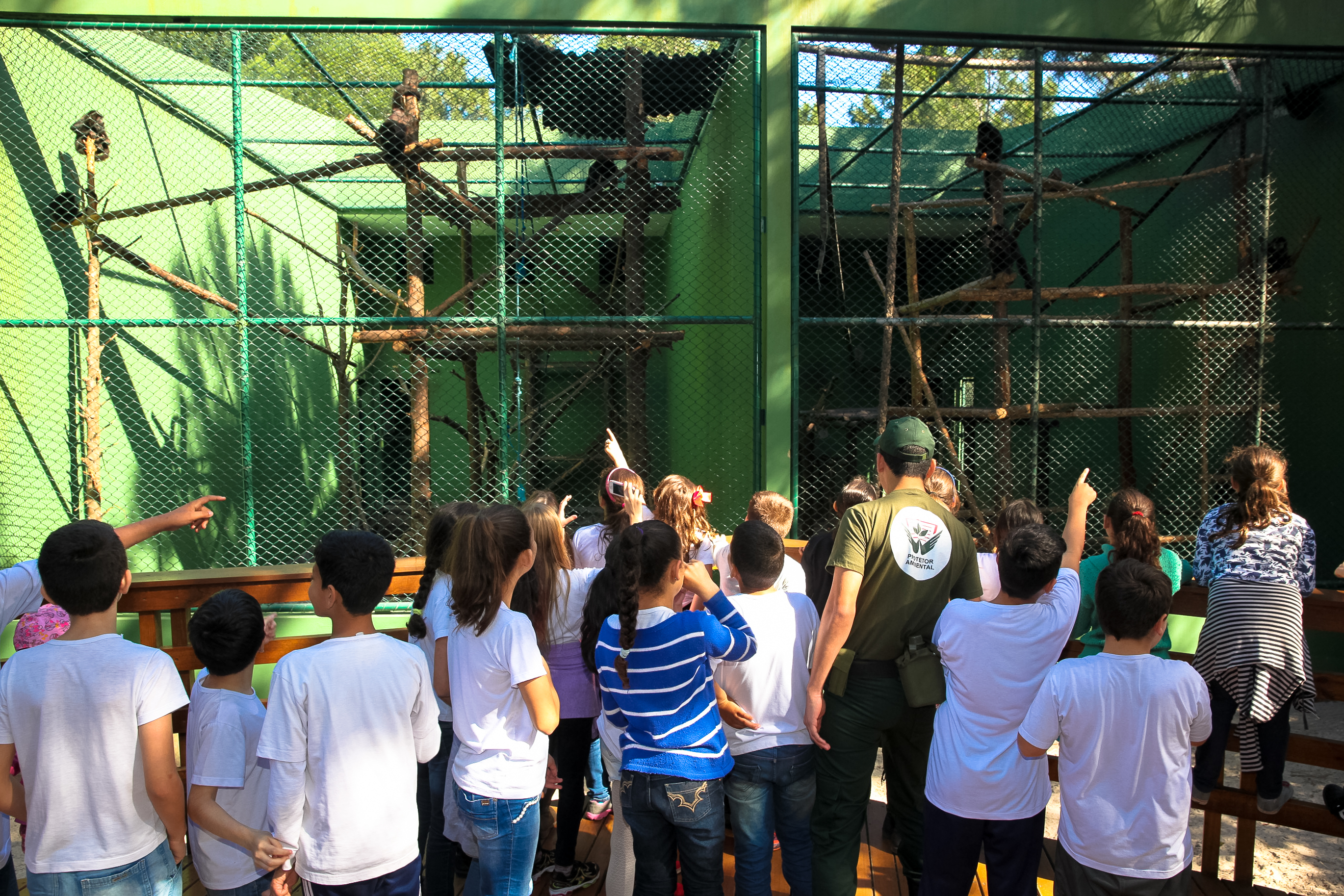 Projeto Protetores Ambientais.