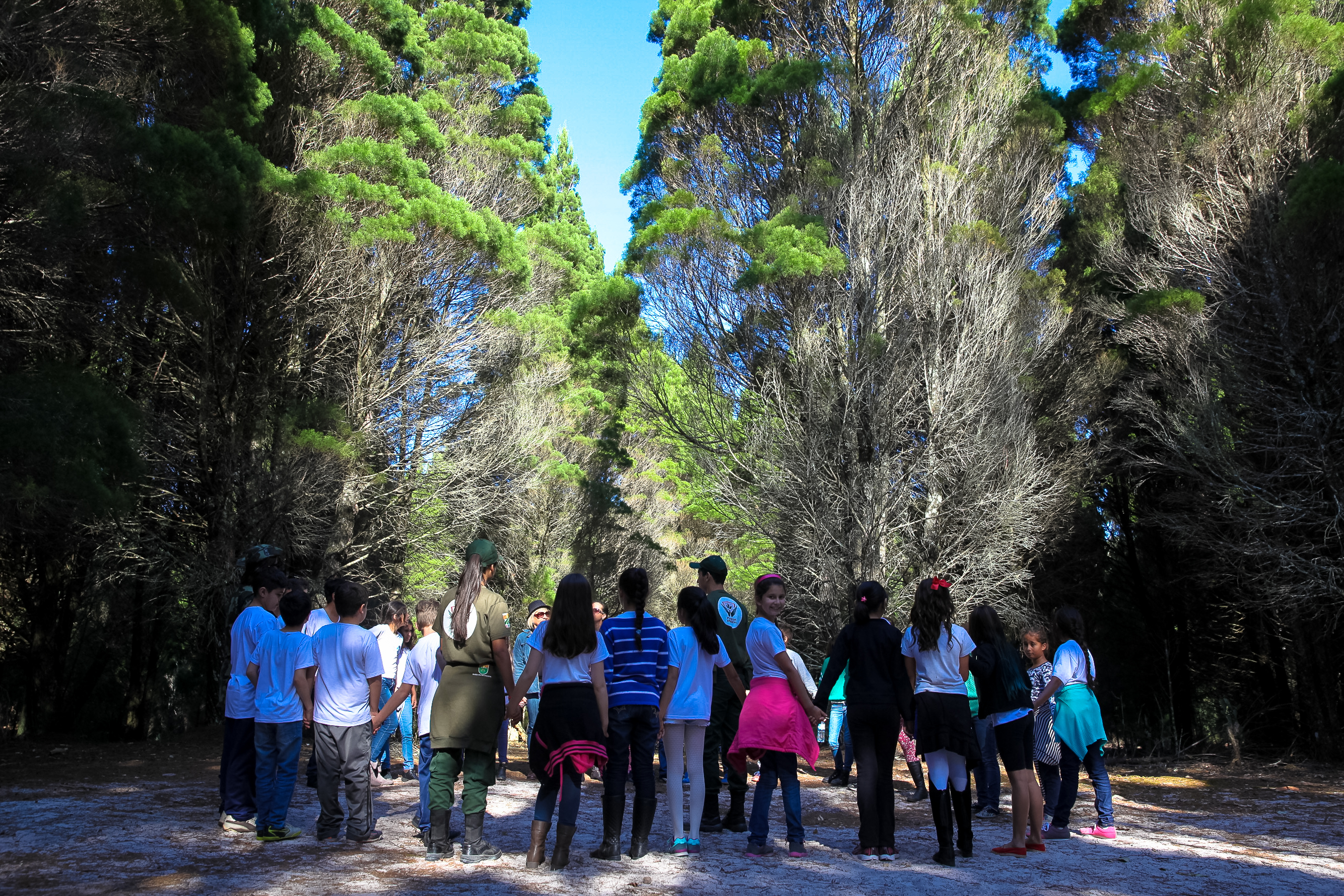Projeto Protetores Ambientais.