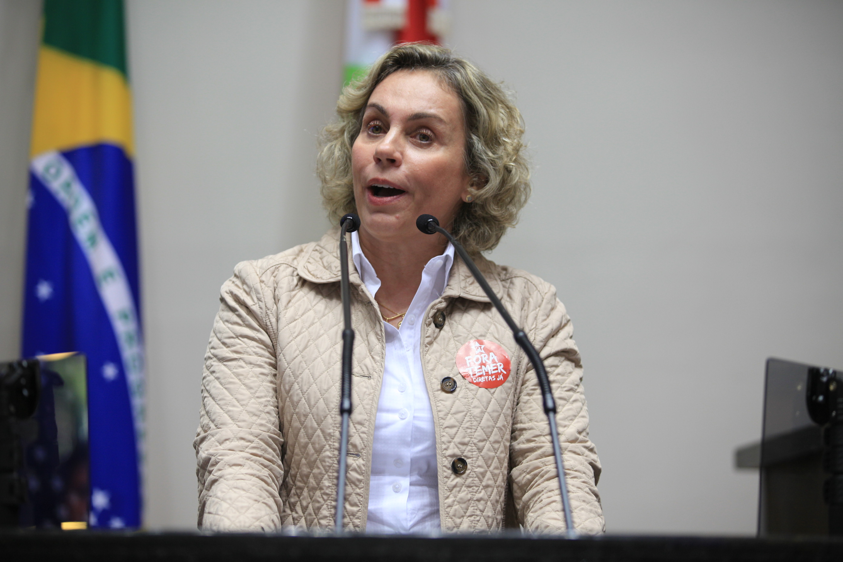 Audiência Pública - Defesa dos Direitos do Trabalhadores.  Deputada Ana Paula (PT).