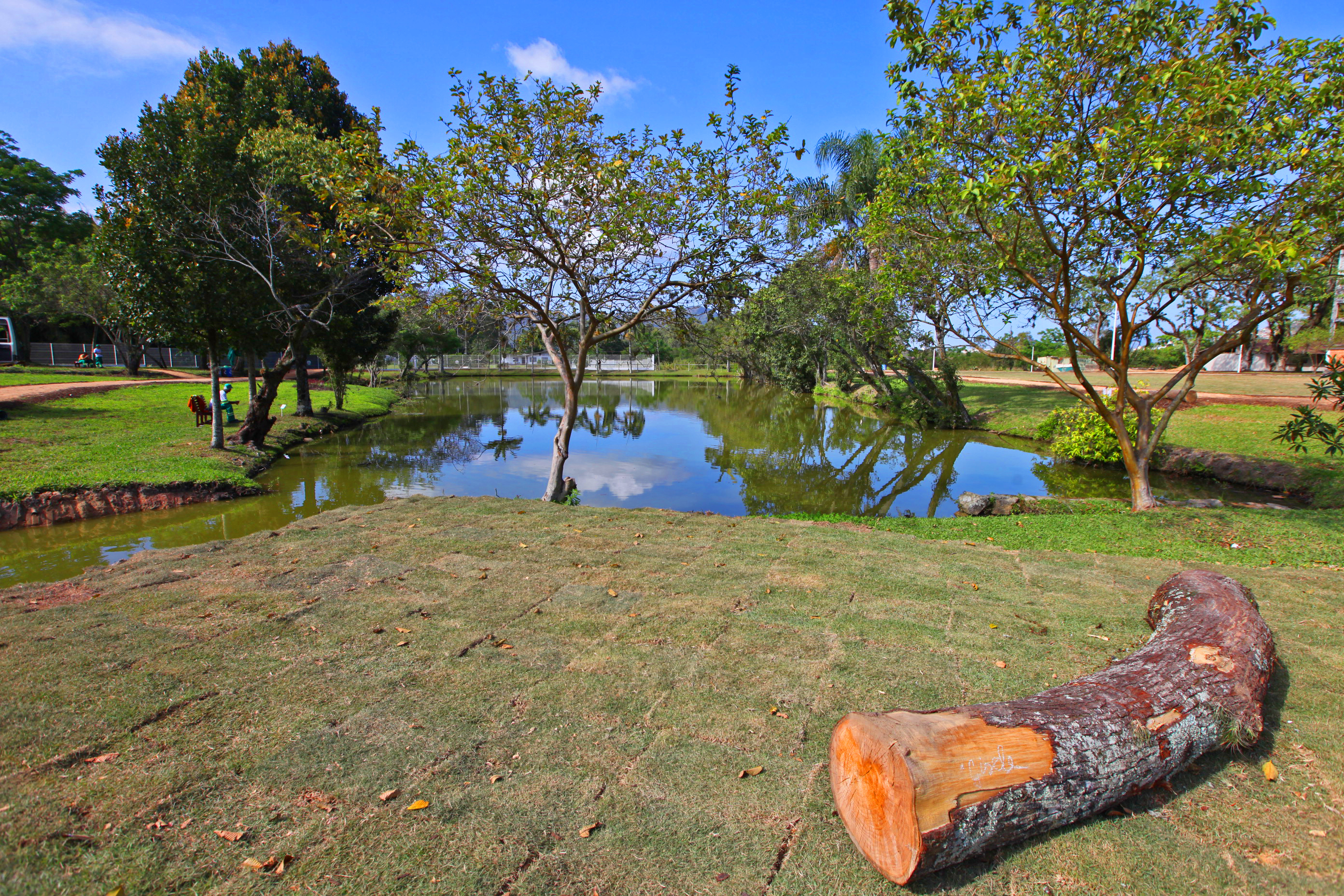 Jardim Botânico de Florianópolis.