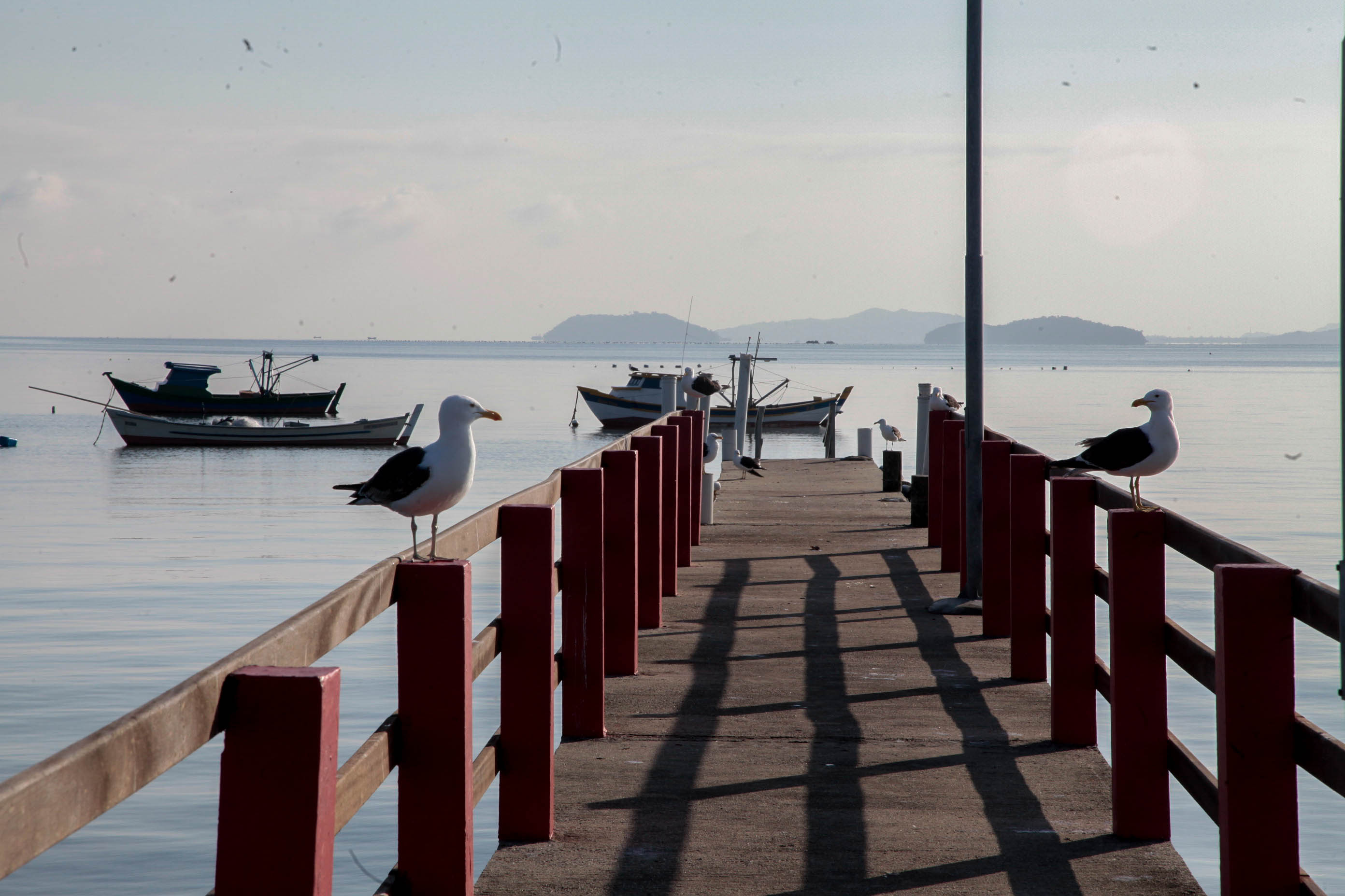 Escola do Mar.