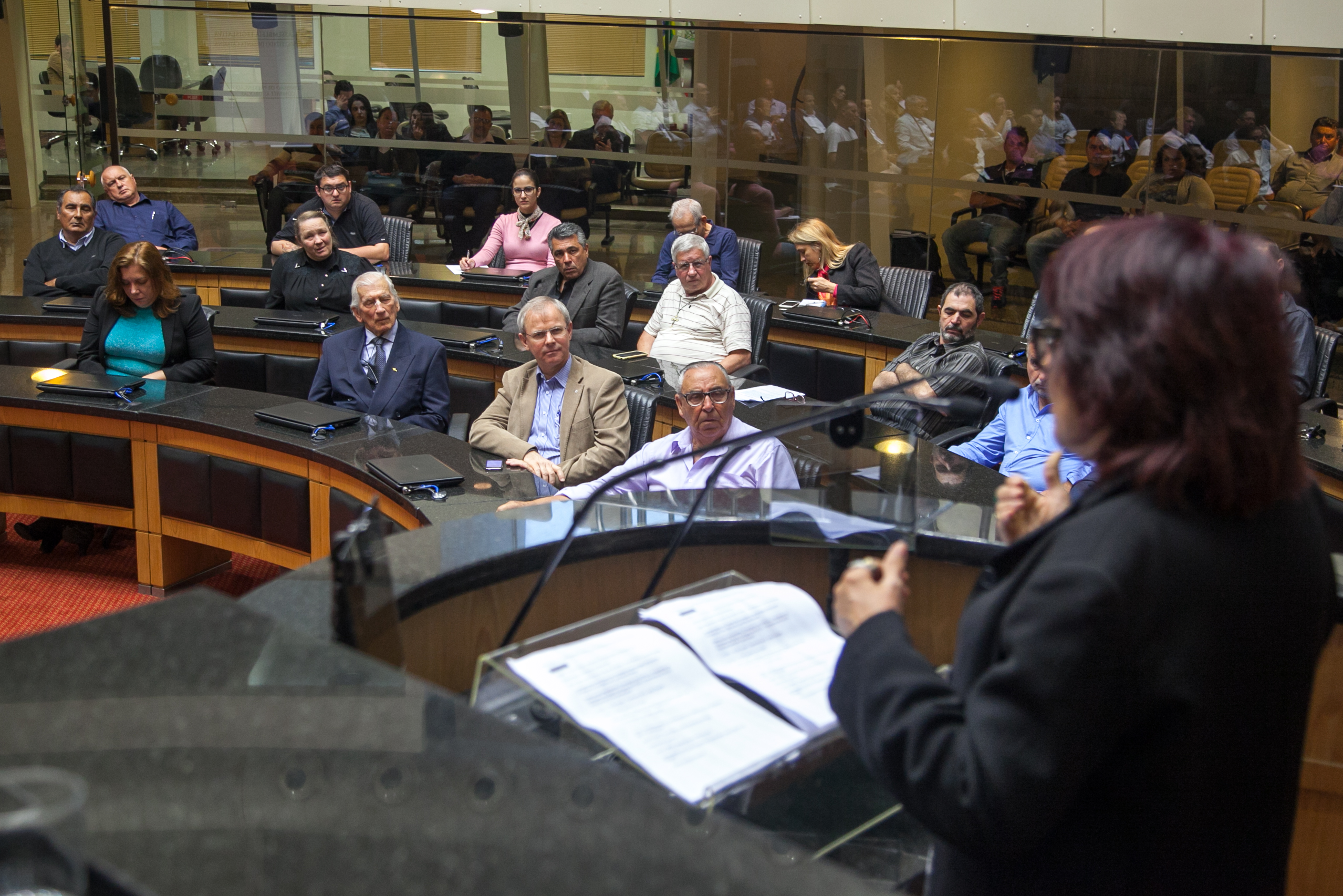 Conferência da Cooperação de Portugal e União Europeia no Programa Reviver