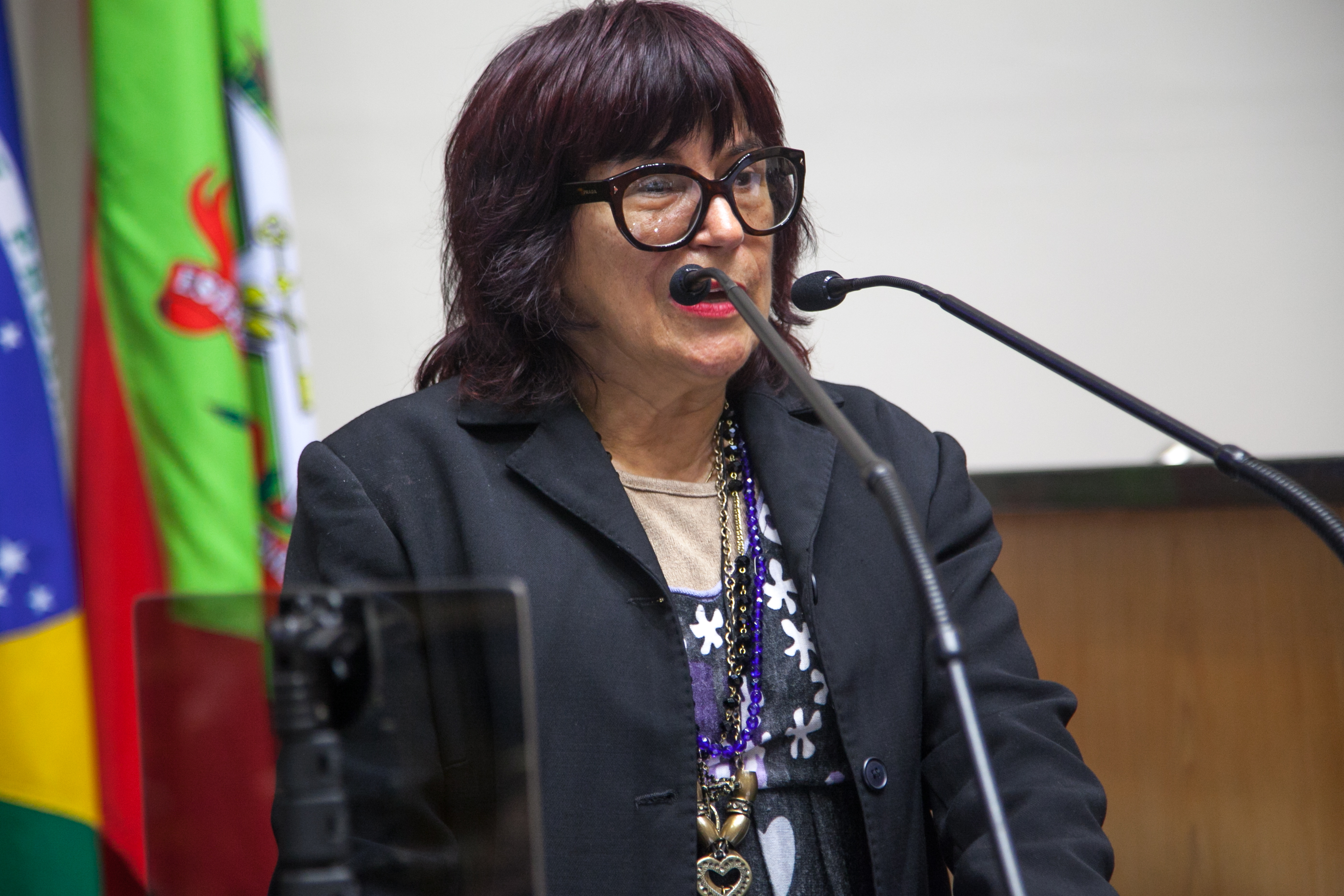 Dr Maria de Souza, Coordenadora do Projeto de Inovação e Tecnologia na Atenção aos Dependentes de Drogas de Santa Catarina - FAPESC - Conferência da Cooperação de Portugal e União Europeia no Programa Reviver