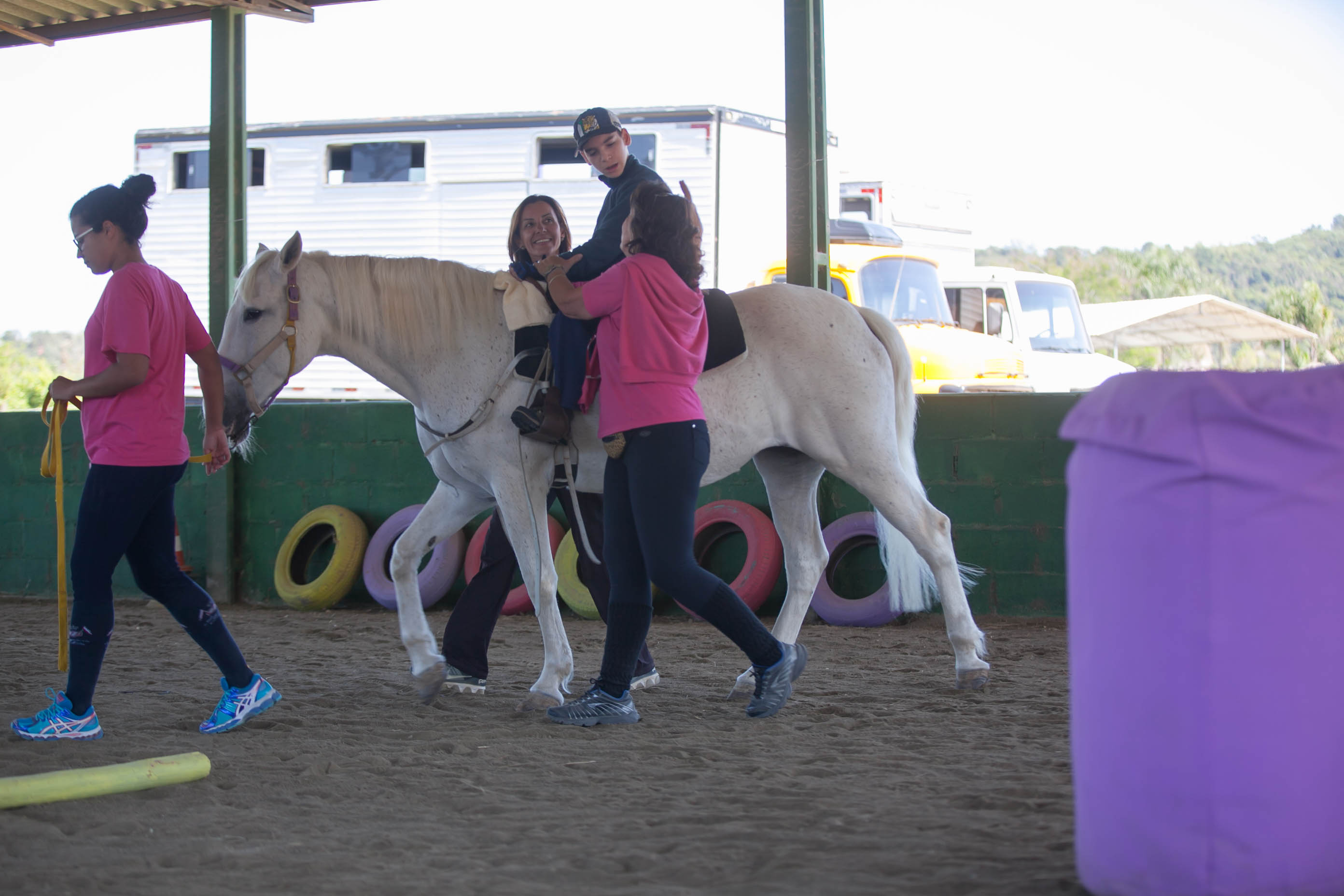 Equoterapia