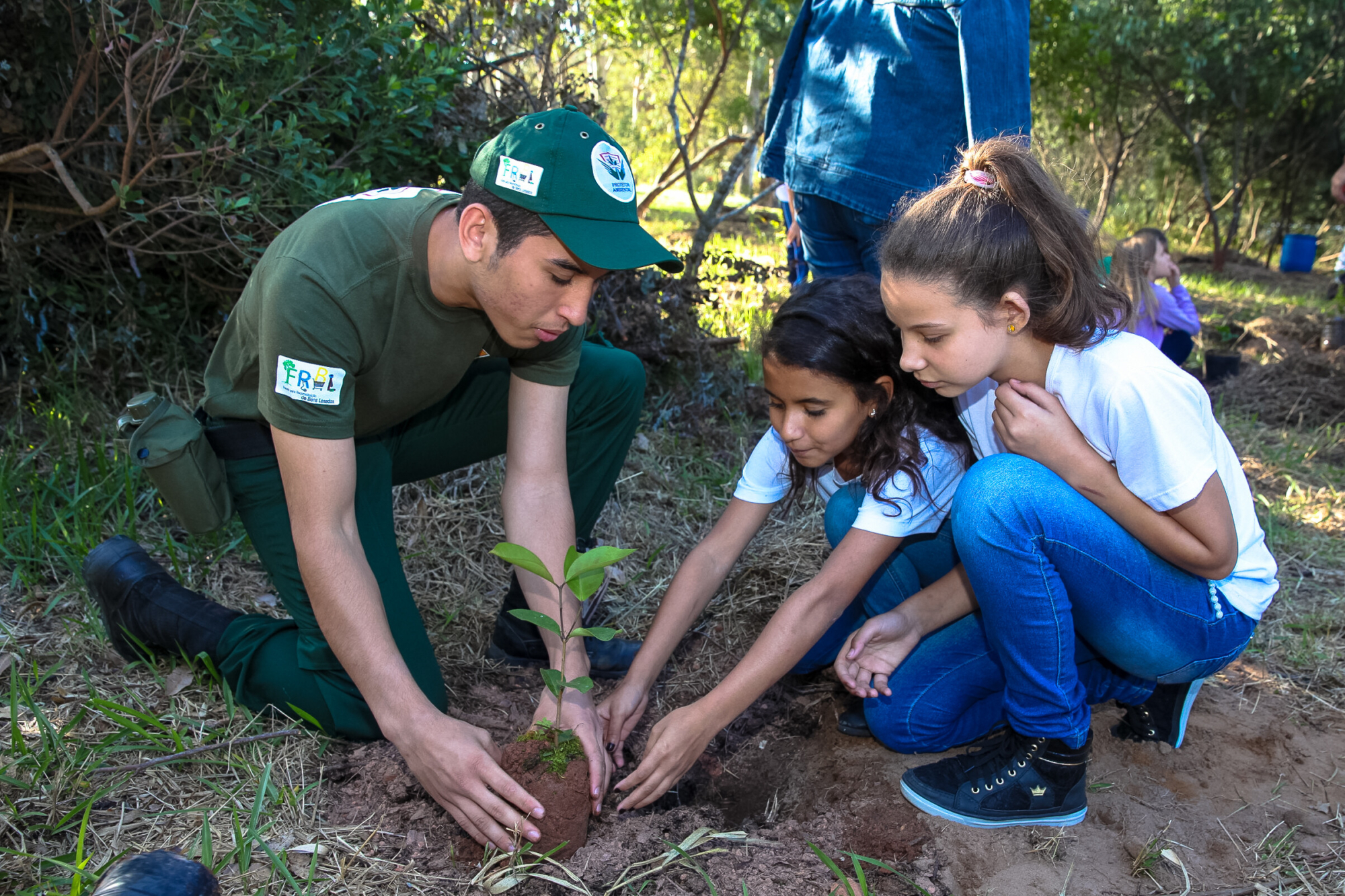 Educação ambiental marca o Dia da Árvore na Capital