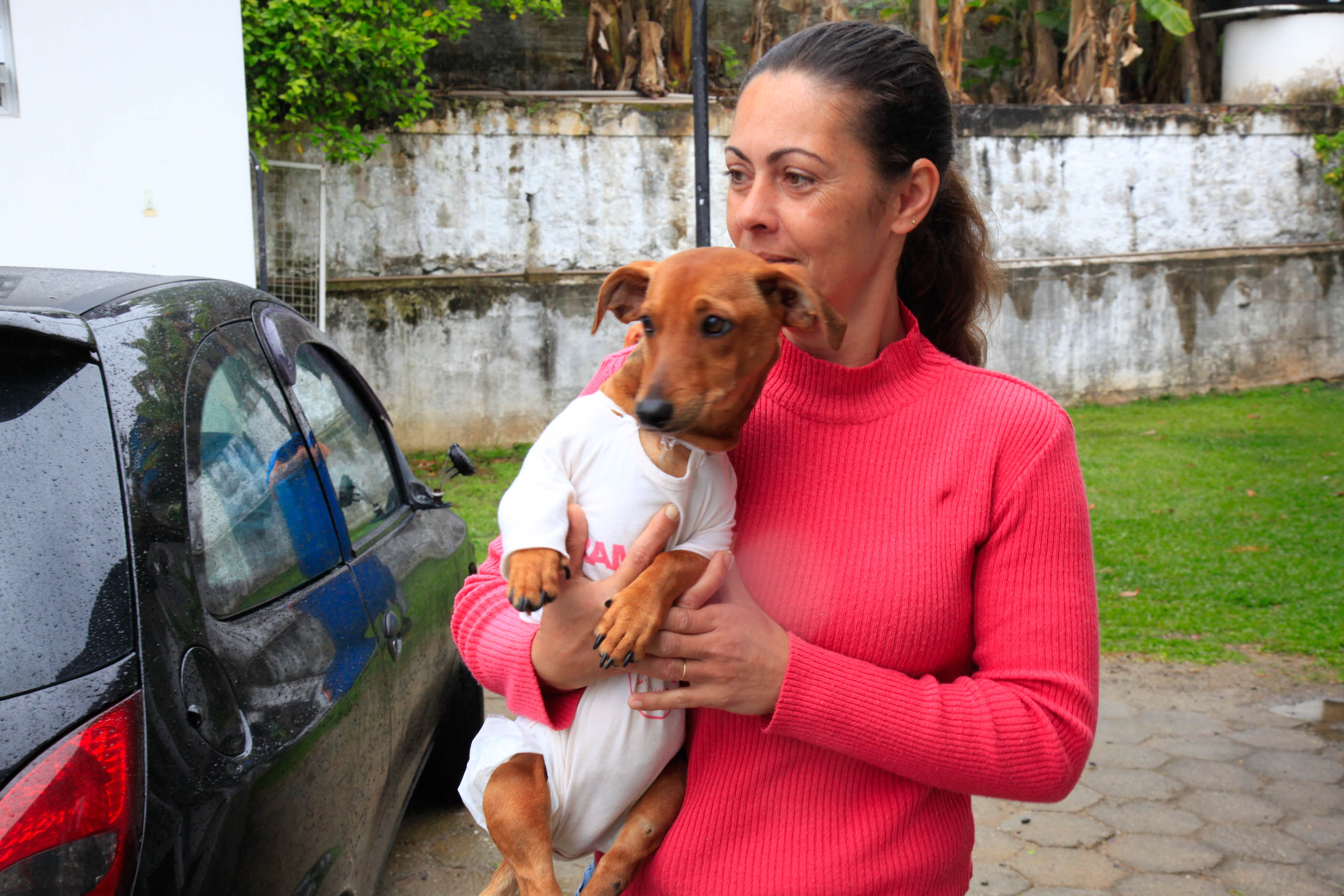 Dia dos Protetores de Animais