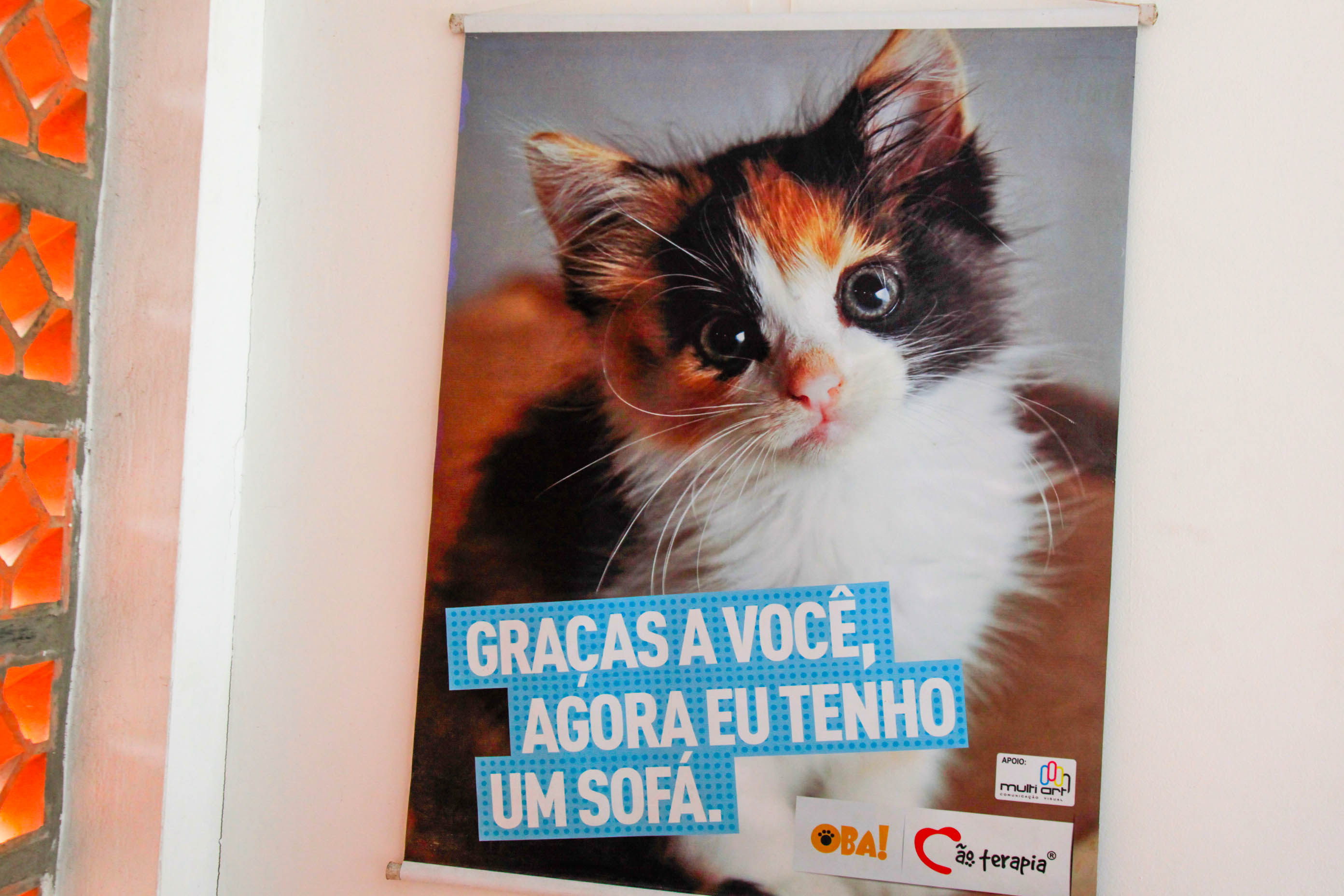 Dia dos Protetores de Animais