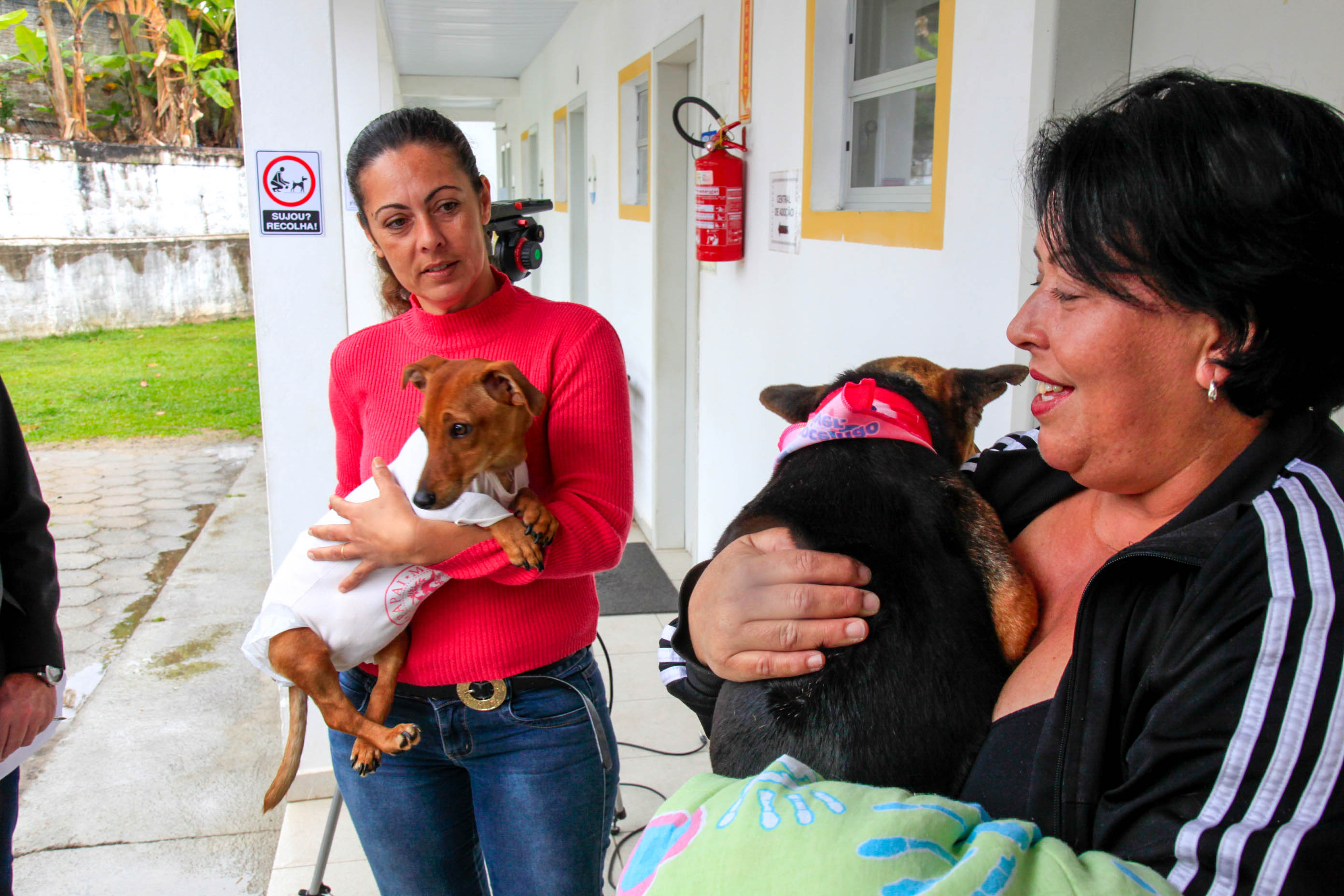 Dia dos Protetores de Animais