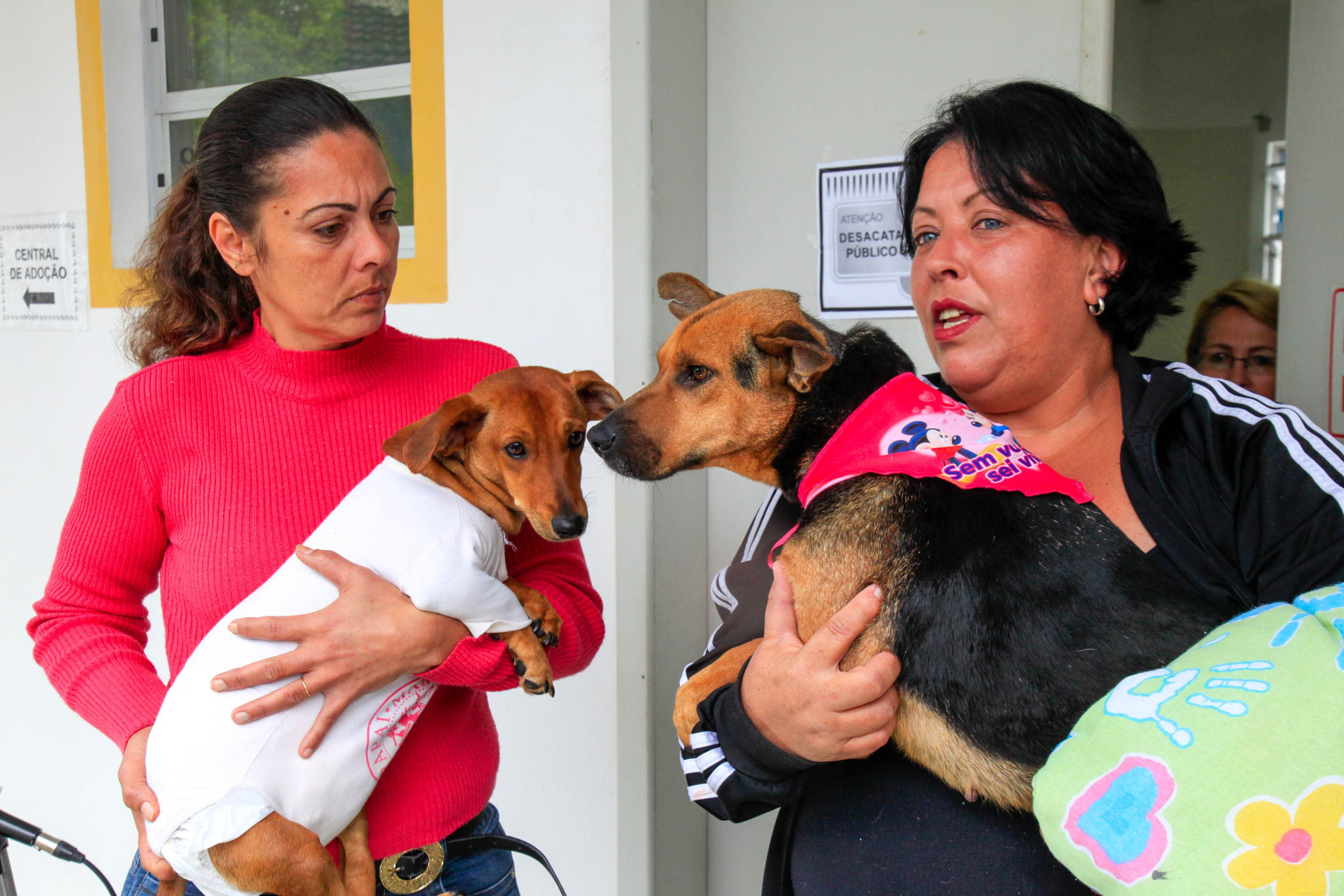Dia dos Protetores de Animais