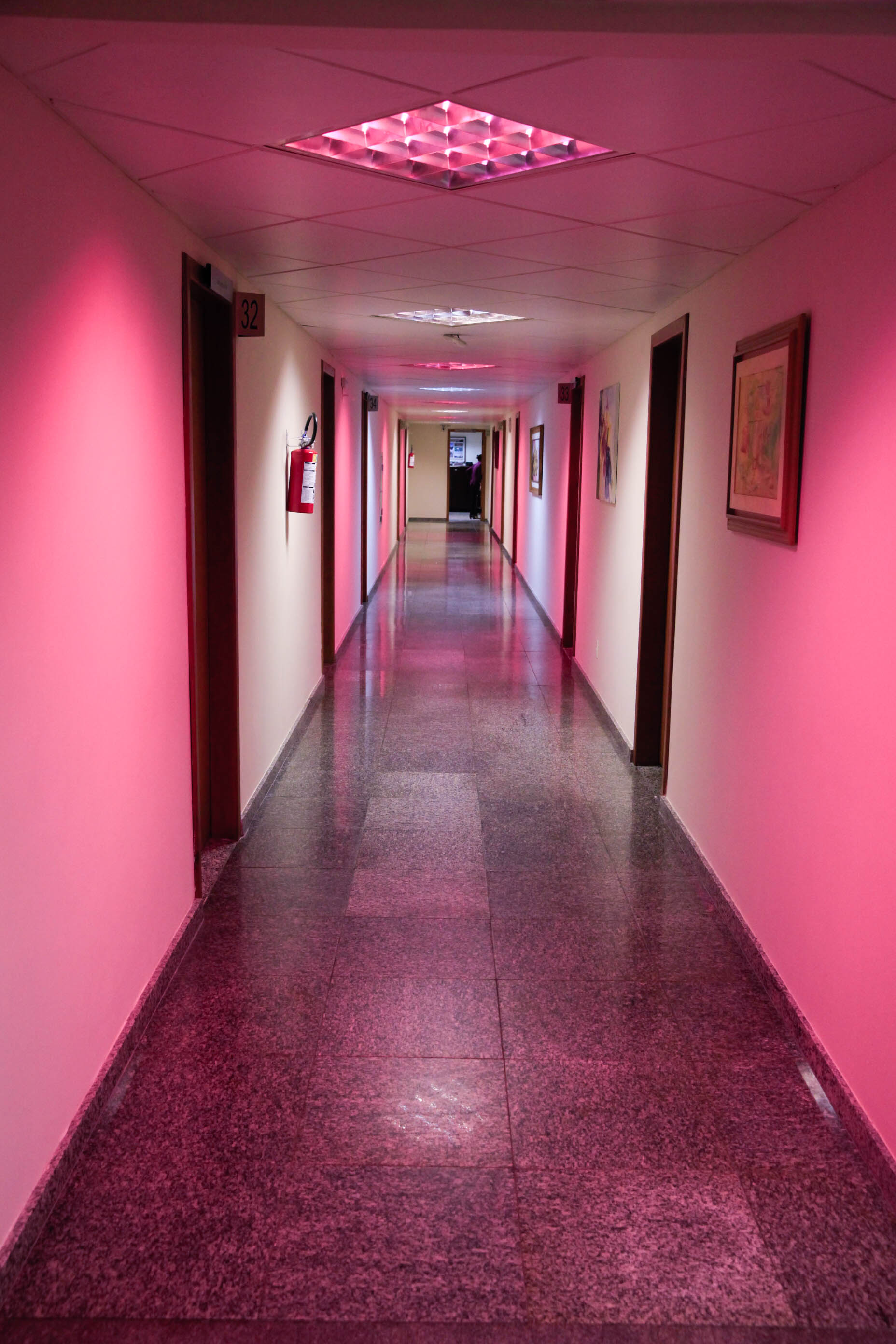 Outubro Rosa na Assembleia Legislativa de Santa Catarina.