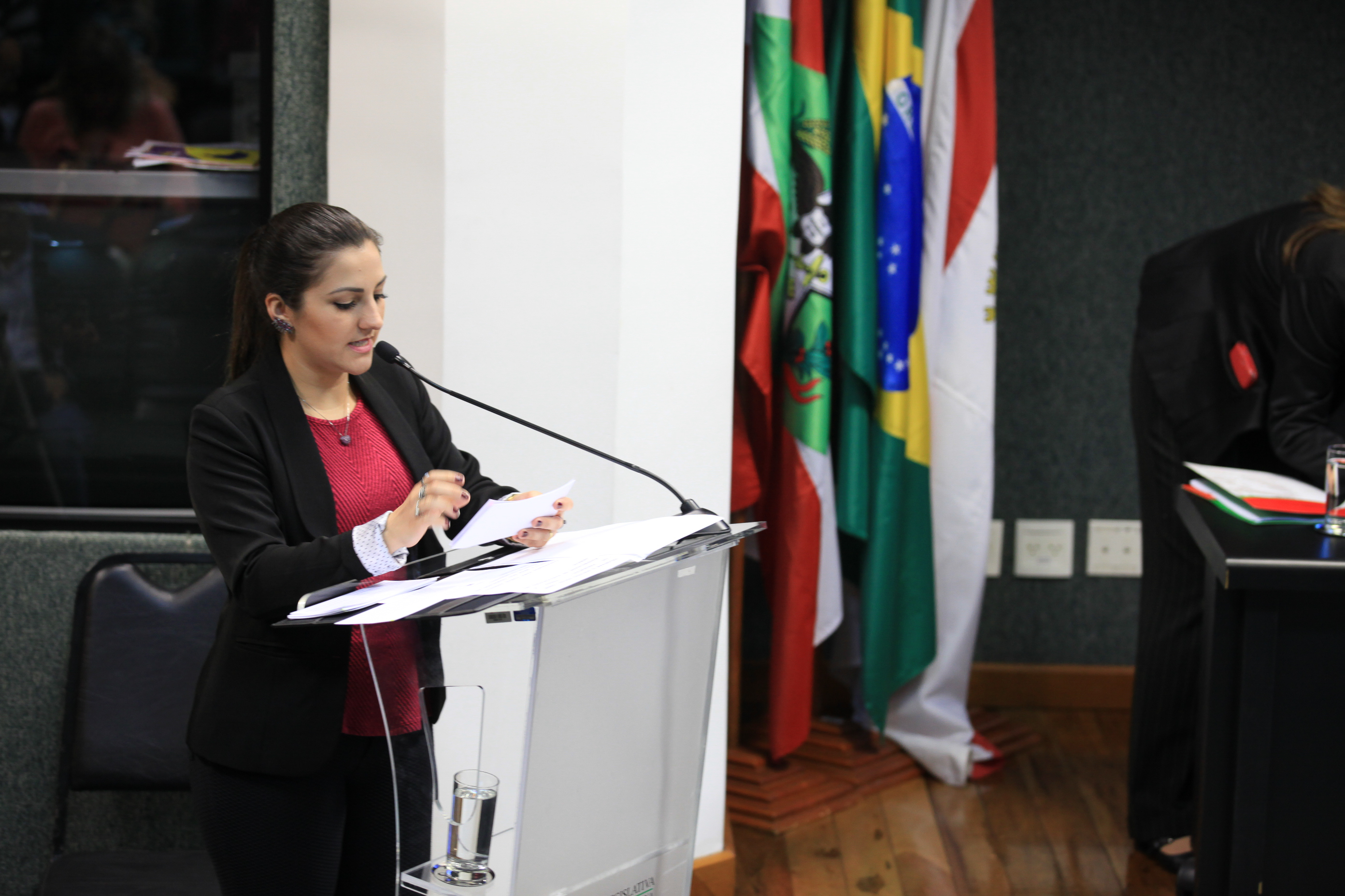 Audiência Pública - Serviço de Proteção Social aos Adolescentes.