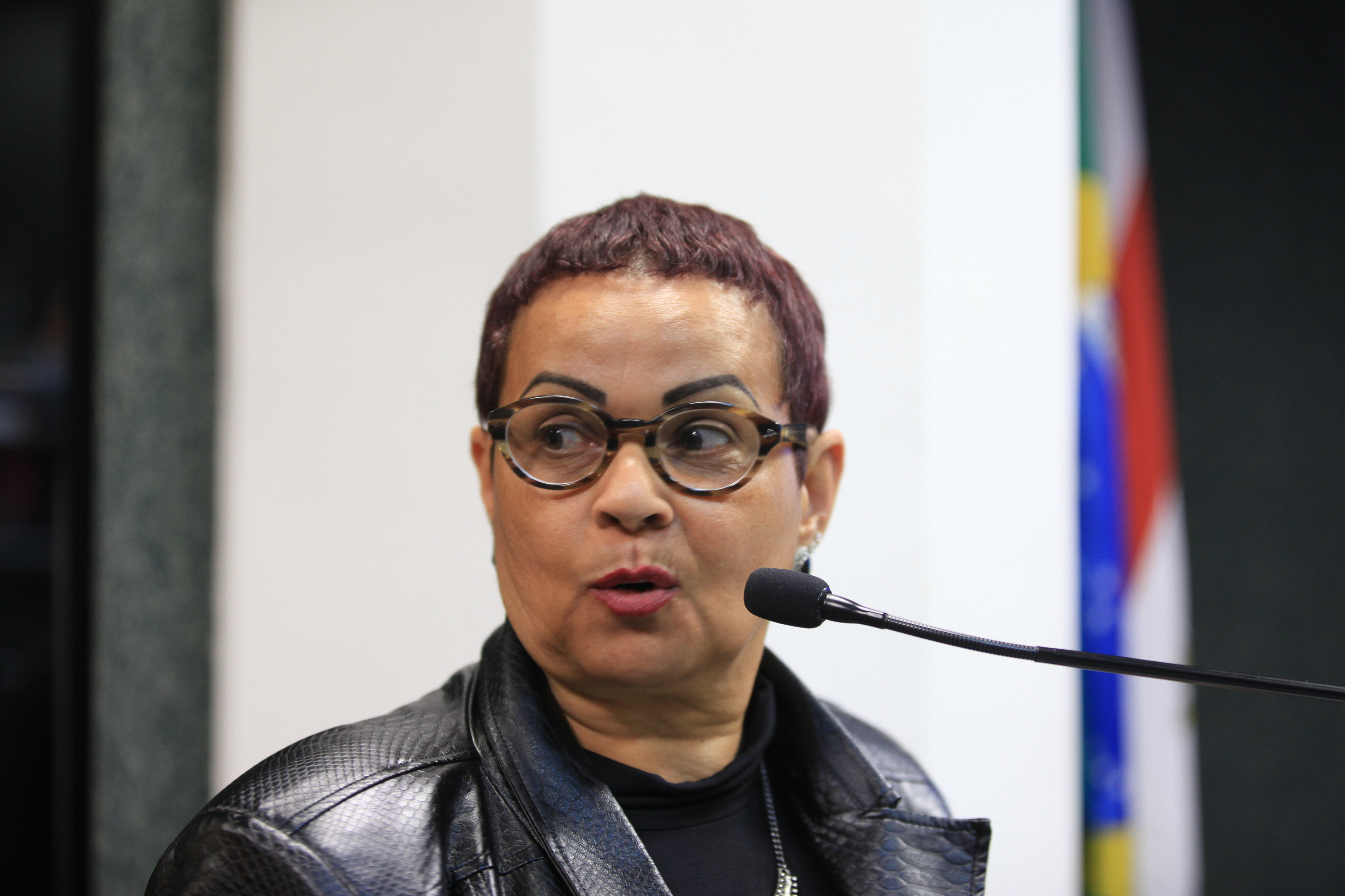 Audiência Pública - Serviço de Proteção Social aos Adolescentes.