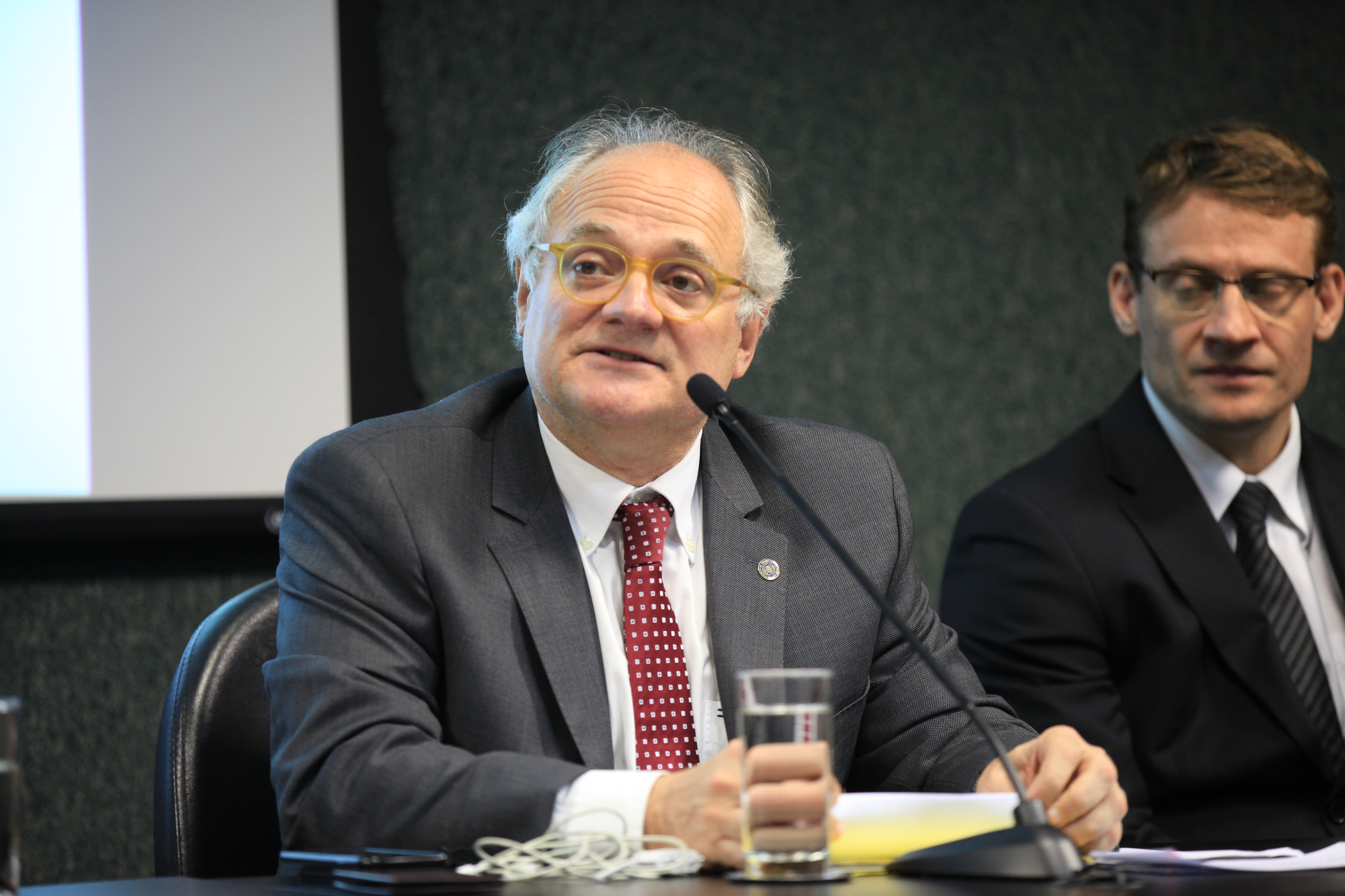 Audiência Pública - Serviço de Proteção Social aos Adolescentes. Deputado Vicente Caropreso (PSDB).