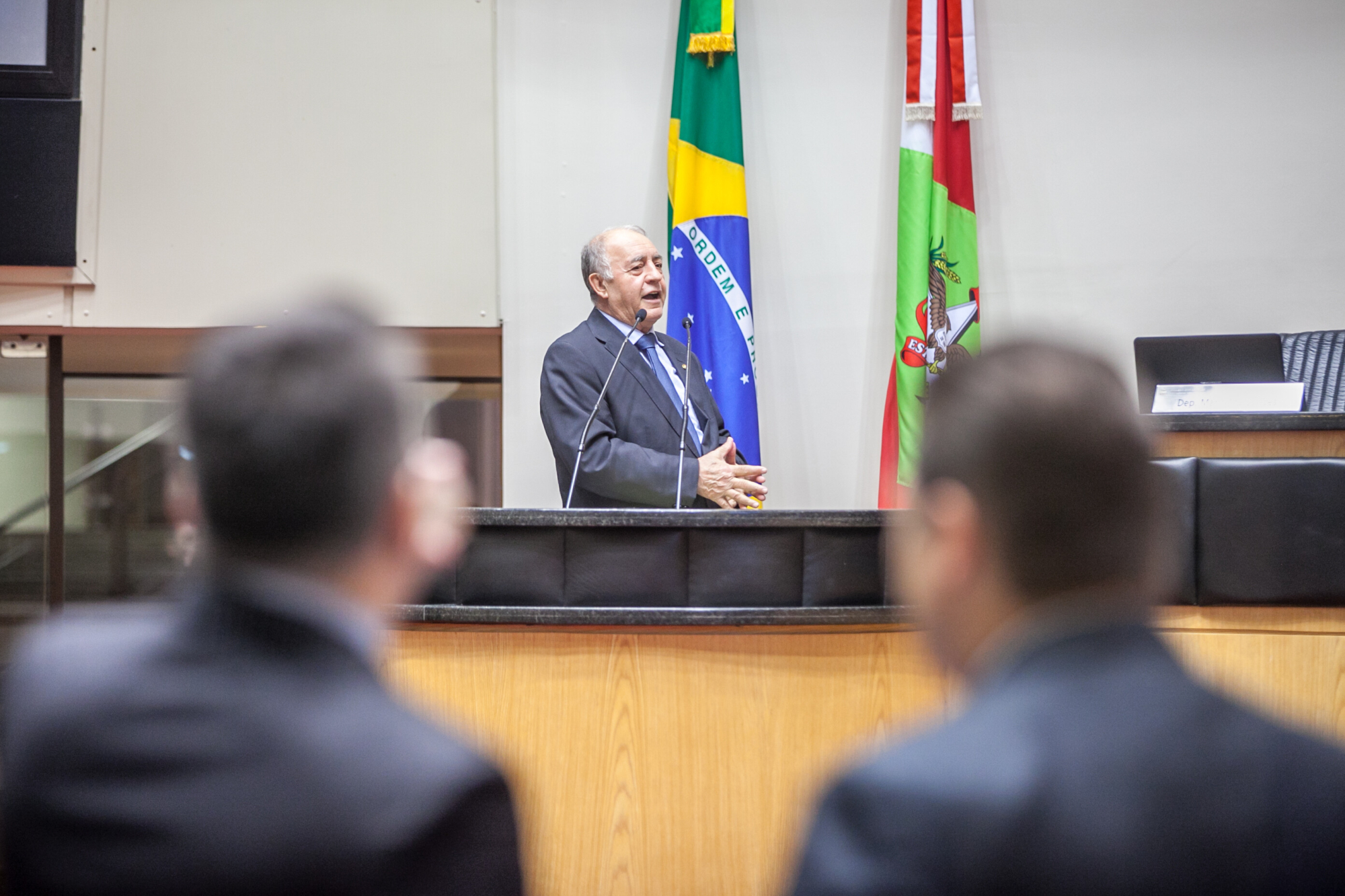 Deputado defende importação de milho e linhas de crédito para suinocultores