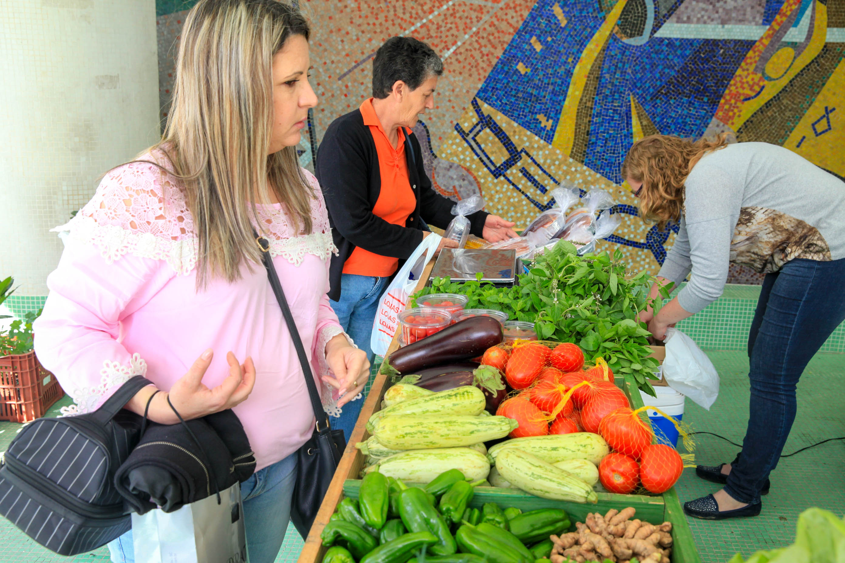 Feira de Orgânicos