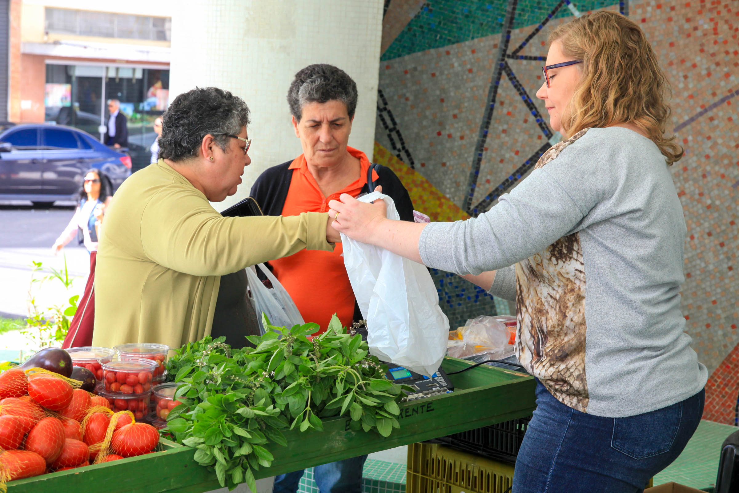 Feira de Orgânicos