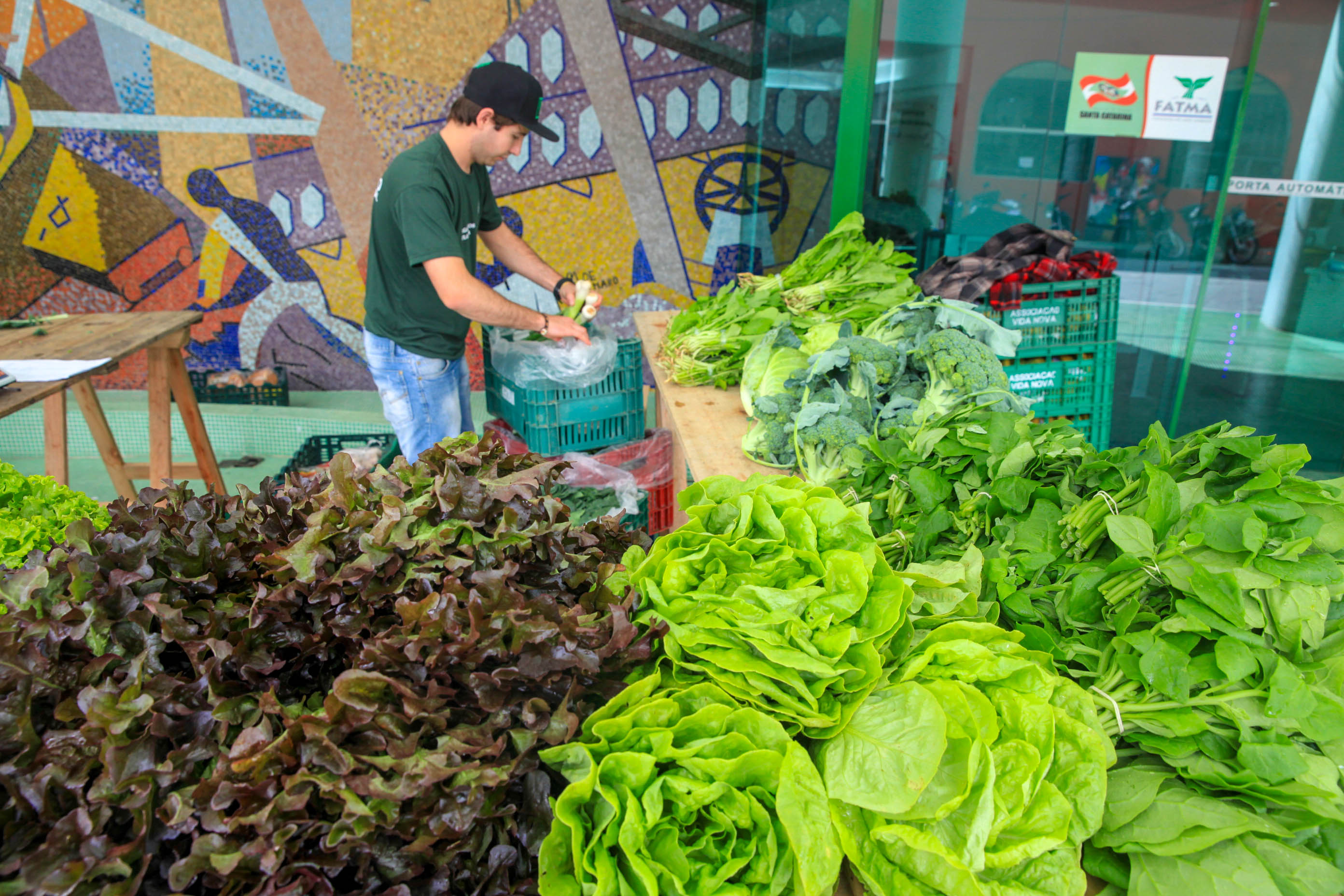 Feira de Orgânicos