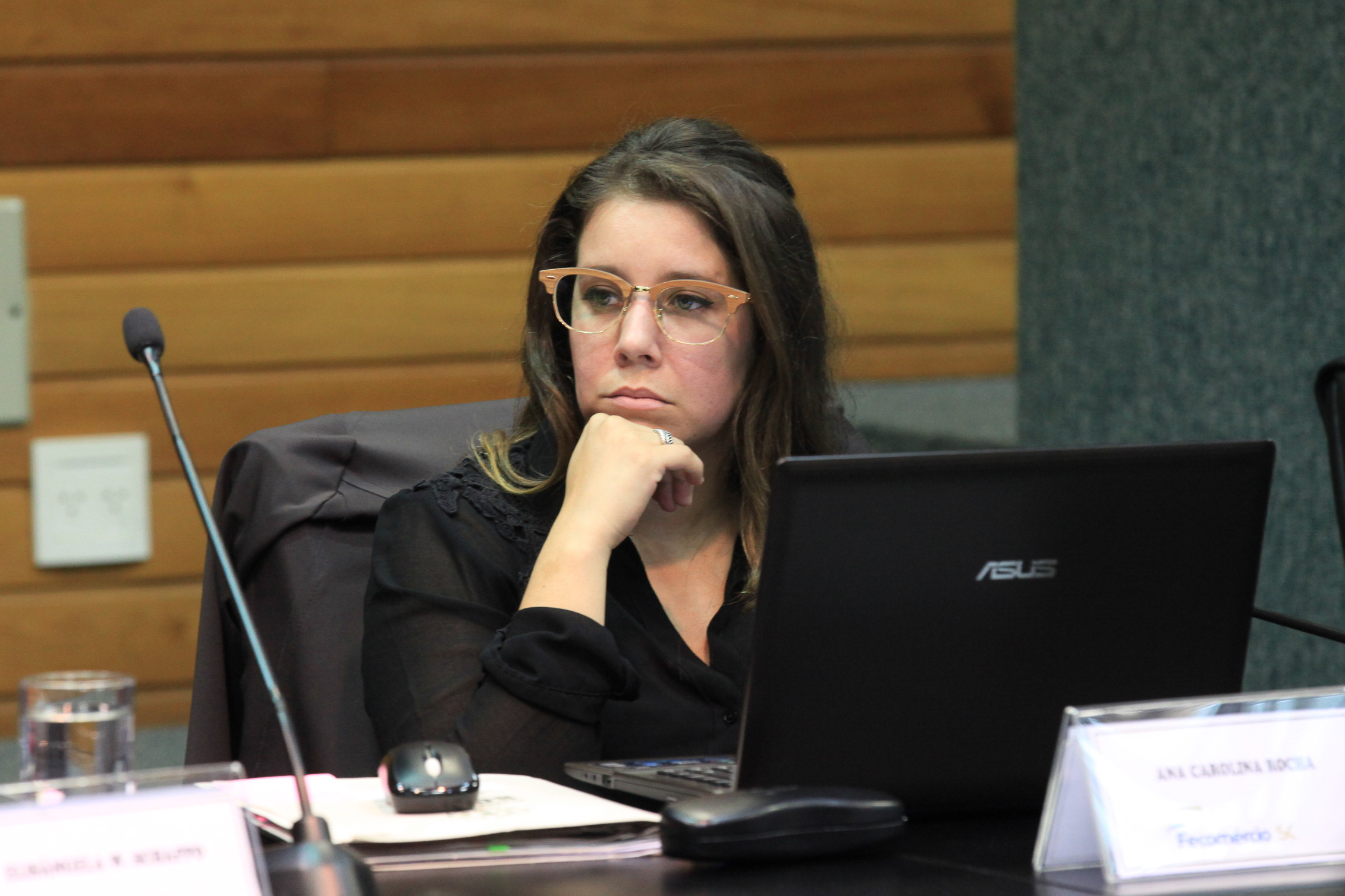 Responsabilidade Social. Ana Carolina Rocha.
