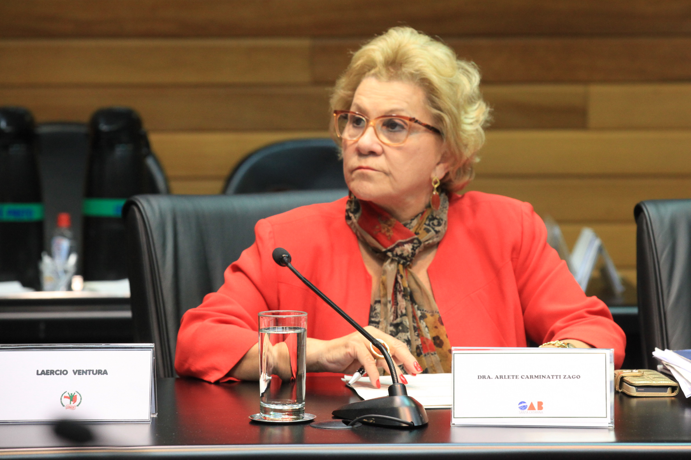 Responsabilidade Social. Dra. Arlete Carminatti Zago.