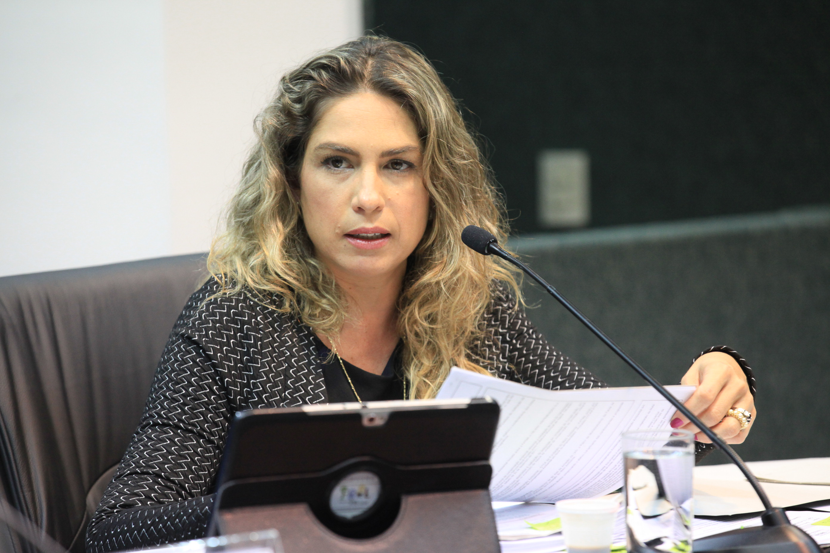 Responsabilidade Social. Karla Straioto Spessato.