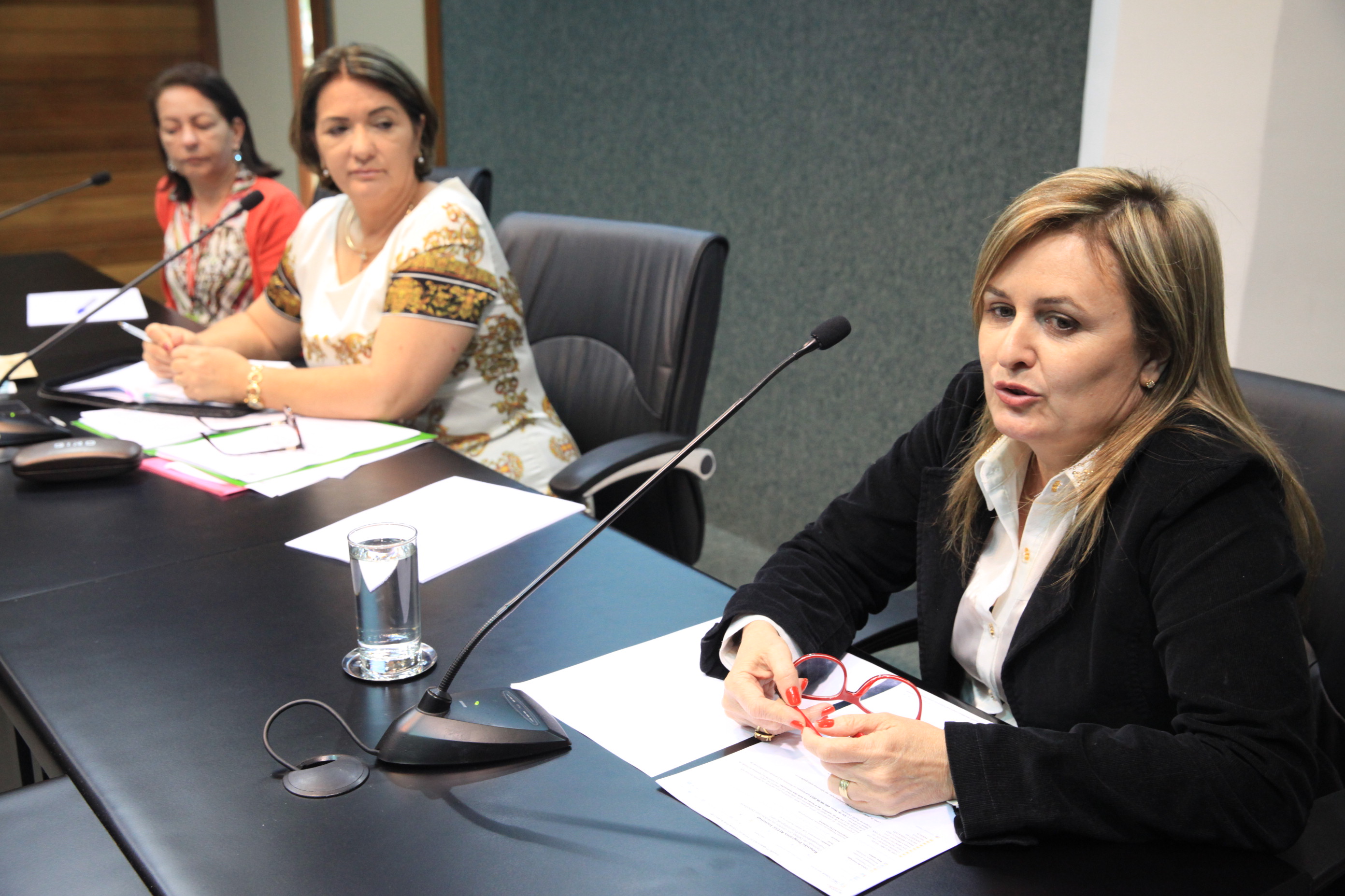Comissão de Defesa dos Direitos da Pessoa com Deficiência.