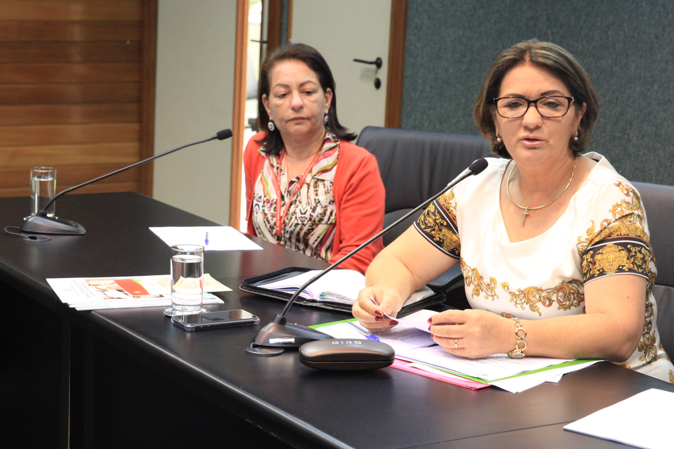 Comissão de Defesa dos Direitos da Pessoa com Deficiência.