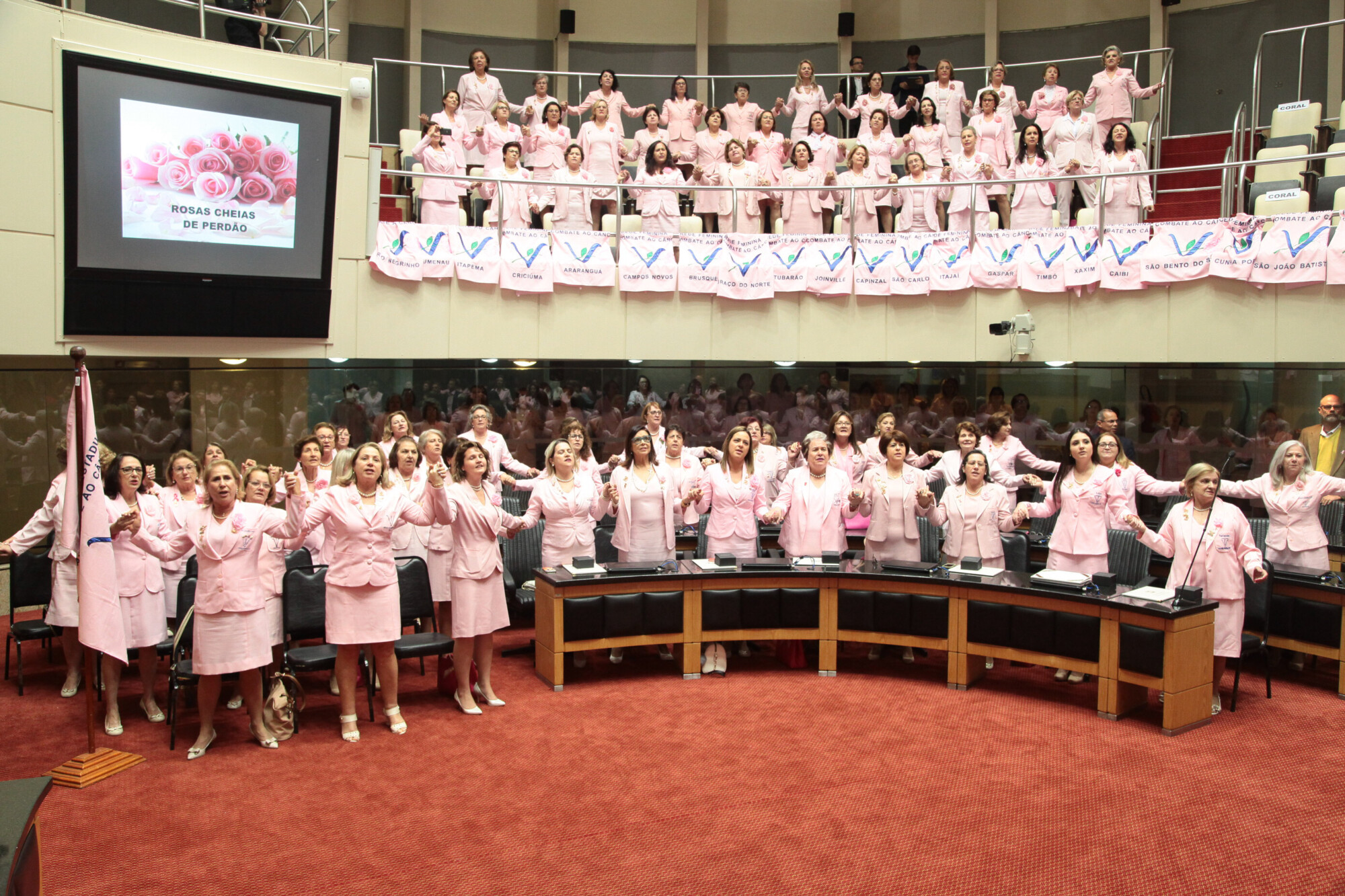Sessão celebra os 55 anos da Rede Feminina Estadual de Combate ao Câncer