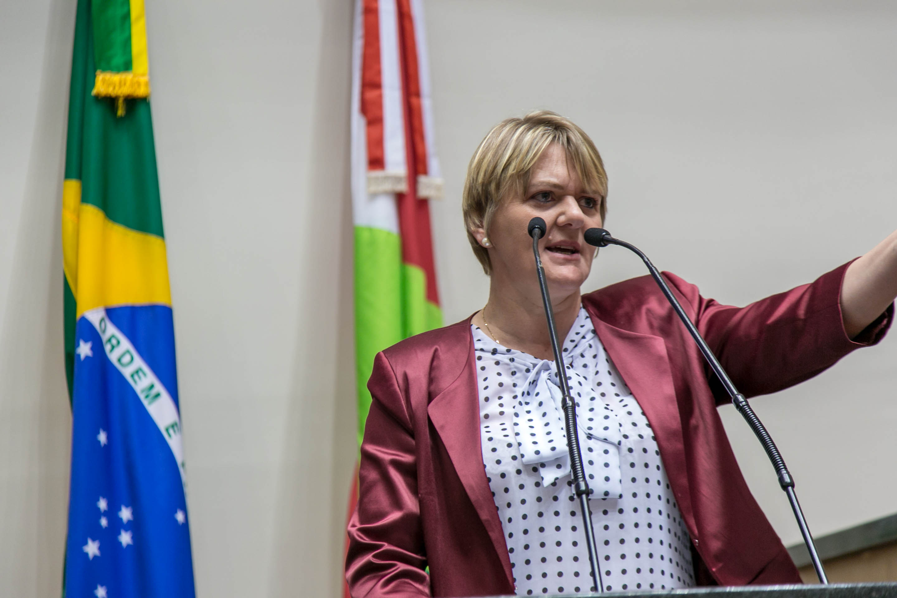 Deputada Luciane Carminatti (PT) - Sessão Ordinária'