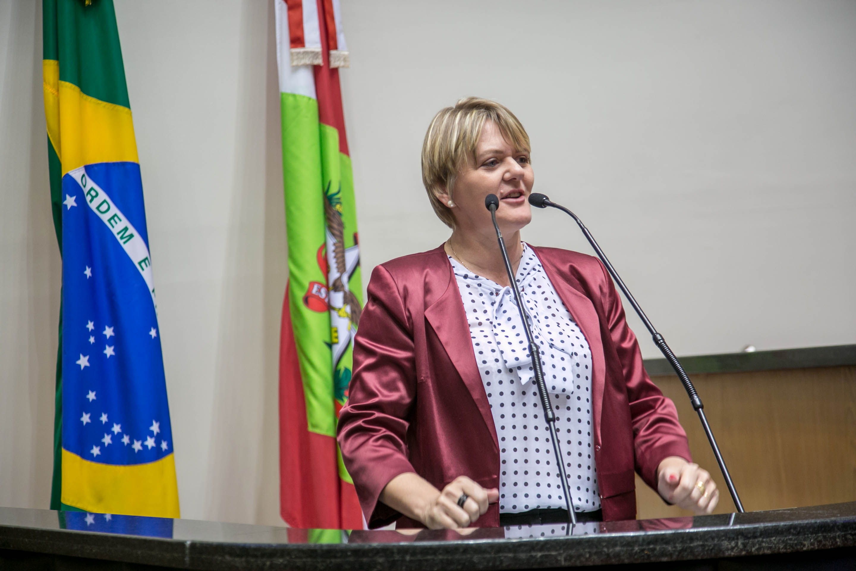 Deputada Luciane Carminatti (PT) - Sessão Ordinária
