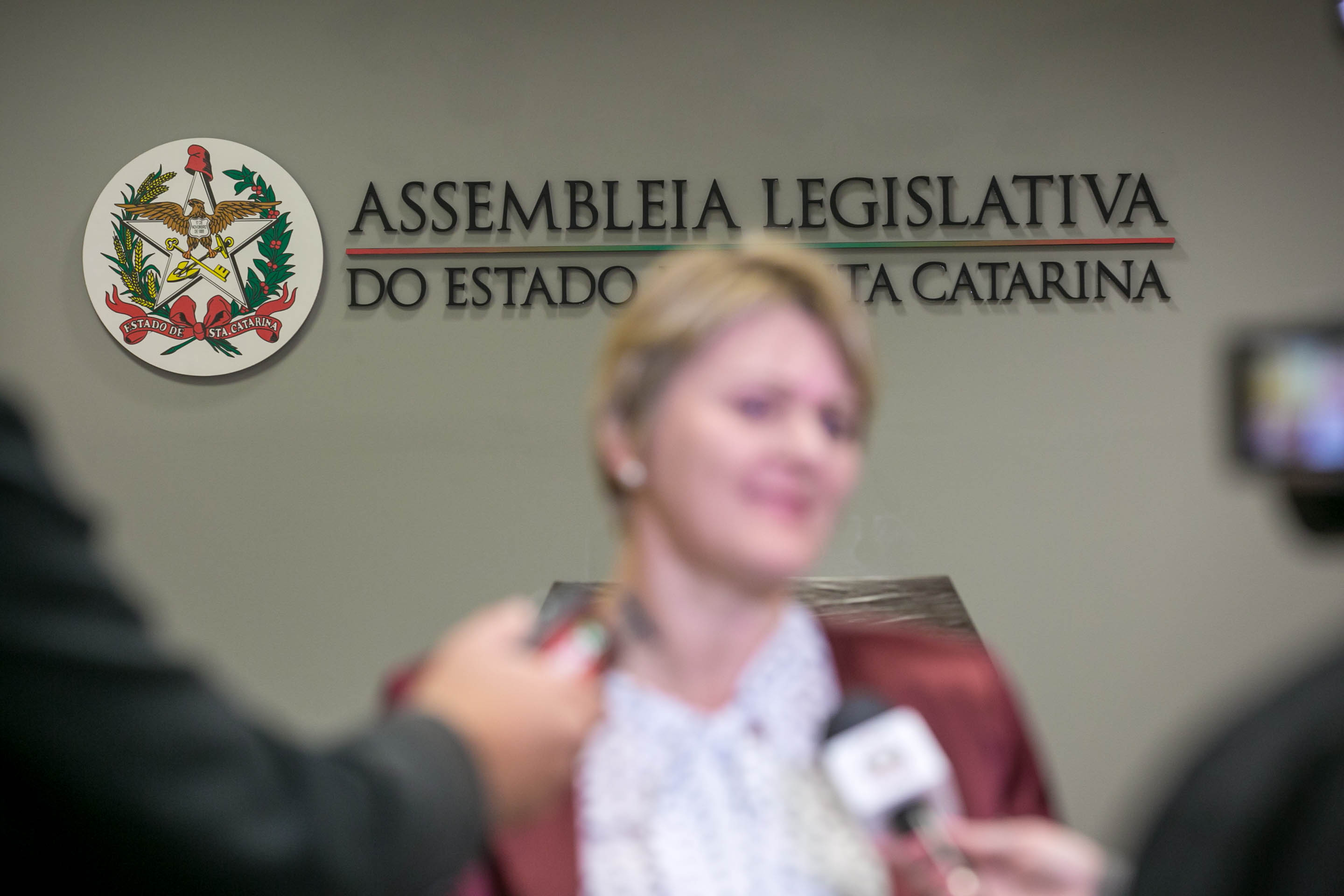 Deputada Luciane Carminatti (PT) - Sessão Ordinária